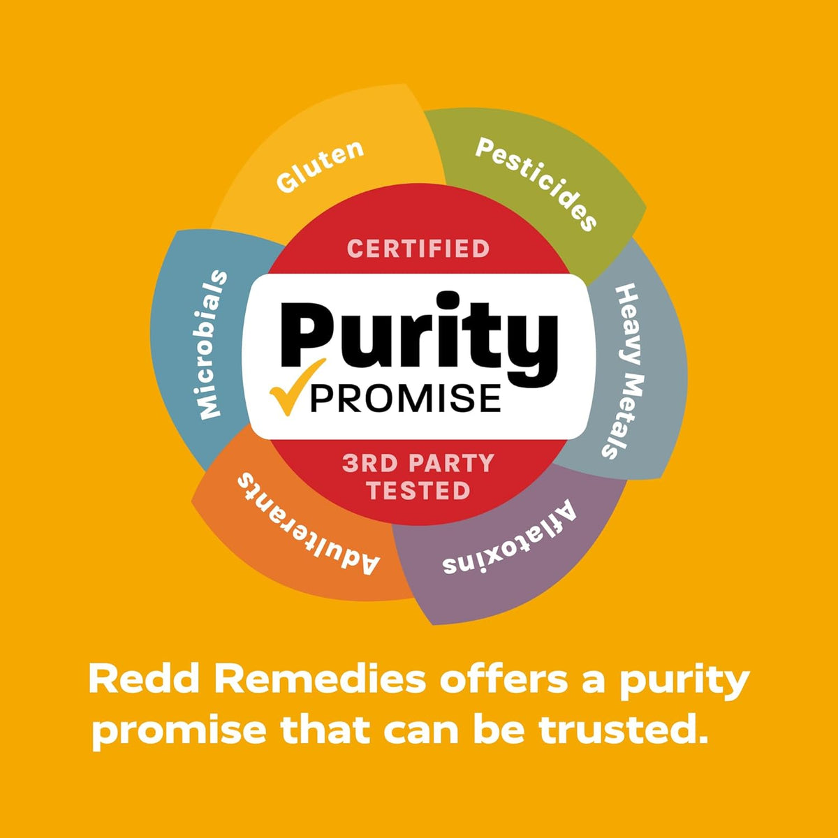 Redd Remedies, Curcumin T4, Advanced Turmeric Formula, 60 Vegan Capsules