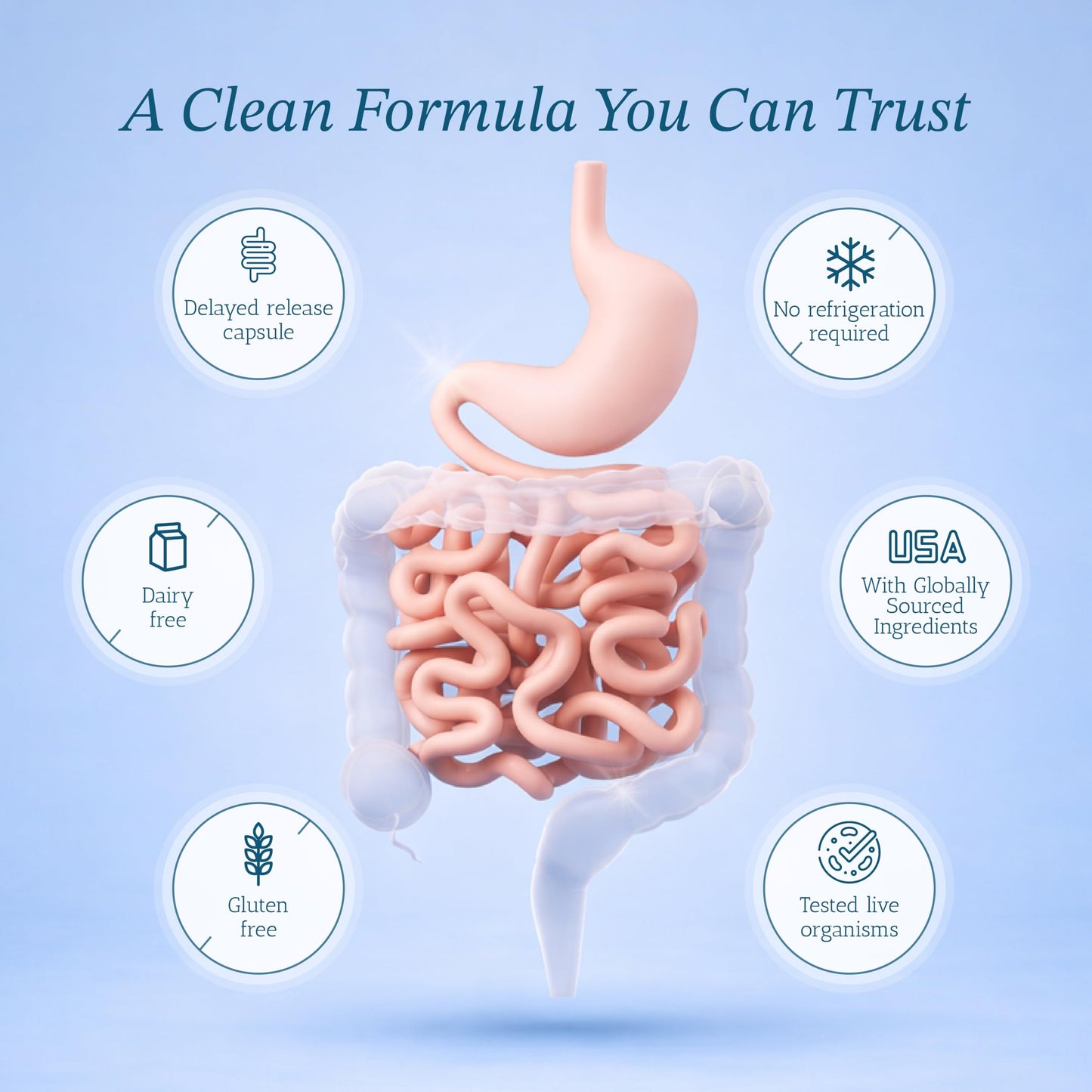 Vitamin Bounty Pro-50 - Probiotics for Women & Men - 50 Billion CFU - 13 Strains Probiotic + Prebiotic - Probiotics for Digestive Health - Delayed Release Capsules - 60 Count