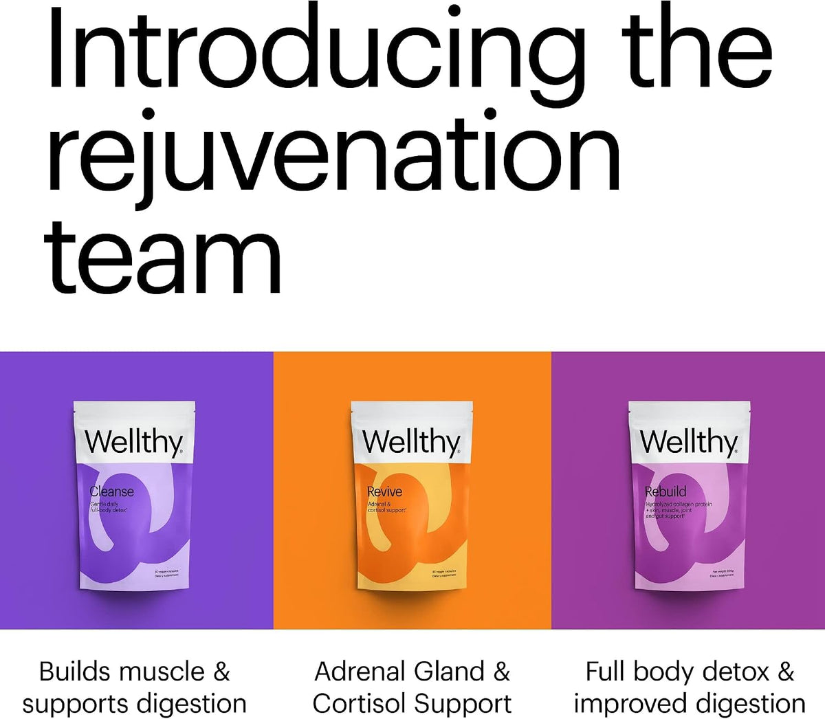 Wellthy Revive Stress Support Capsules - Boost Energy and Improve Mental Wellness (60 Count)