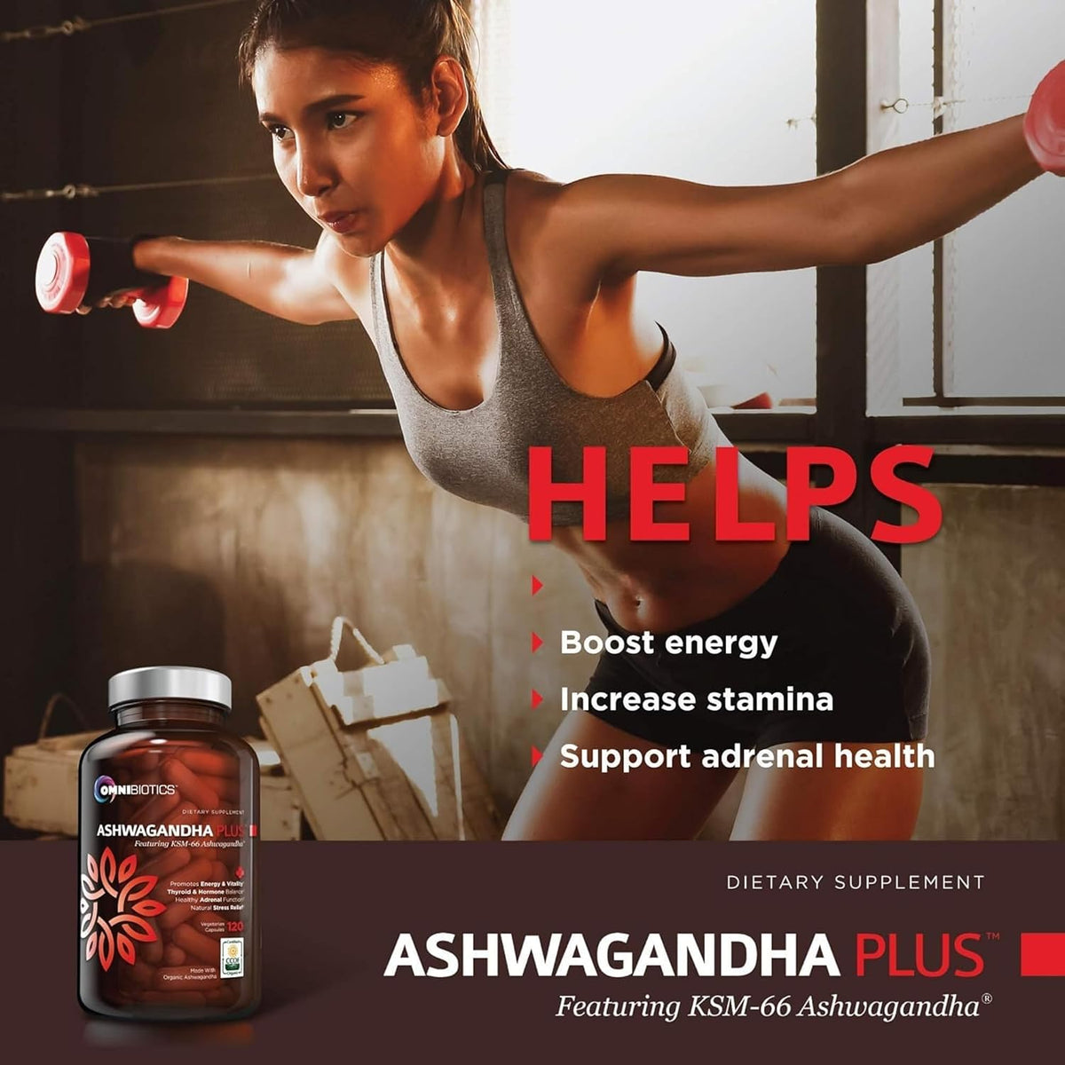 OmniBiotics Ultimate Daily Multivitamin + Ashwagandha Root Supplement
