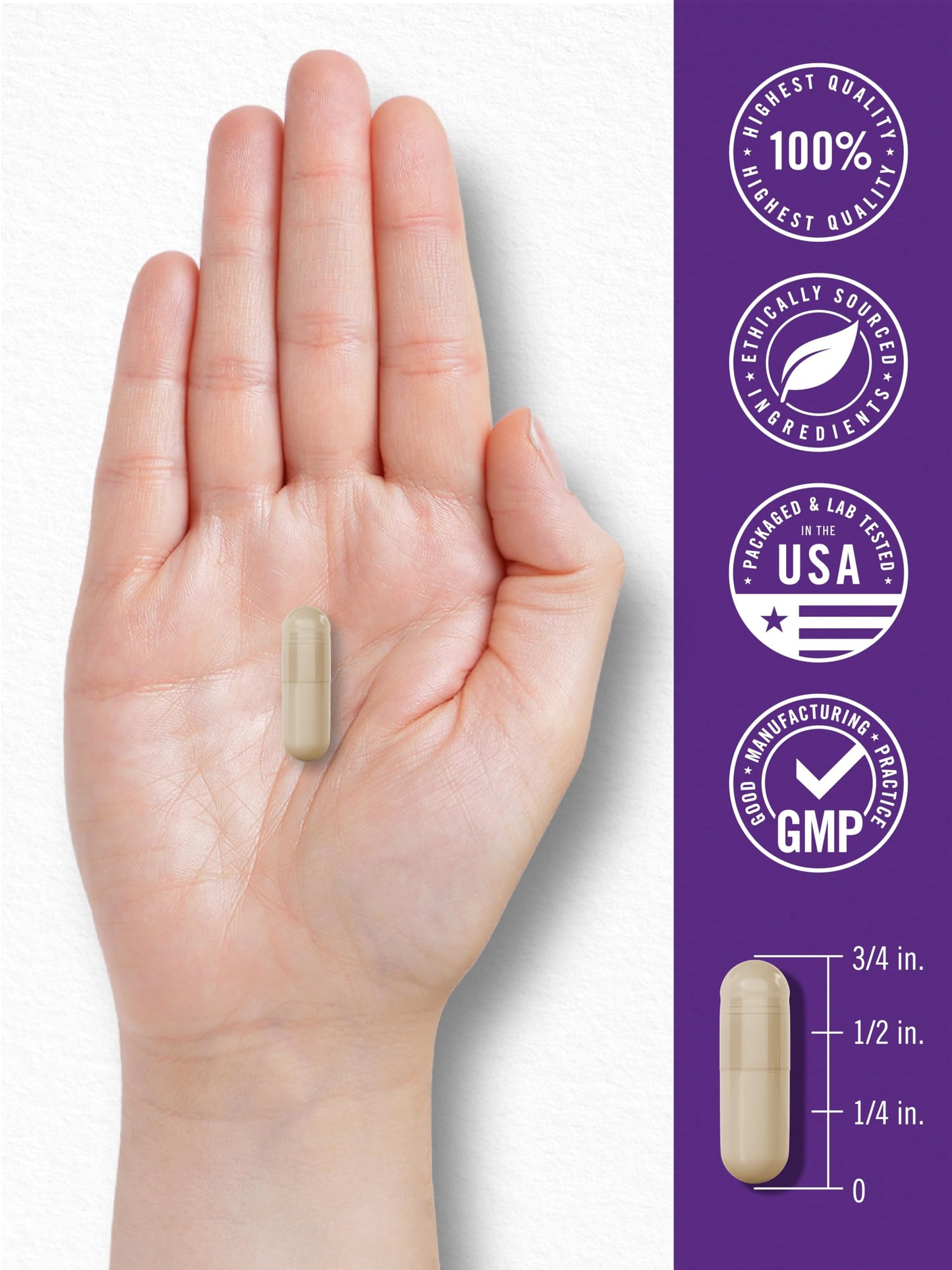Carlyle Probiotic 100 Billion CFU | 120 Capsules | Delayed Release | 31 Probiotic Strains | with Prebiotic Fiber | Vegan, Non GMO, Gluten Free
