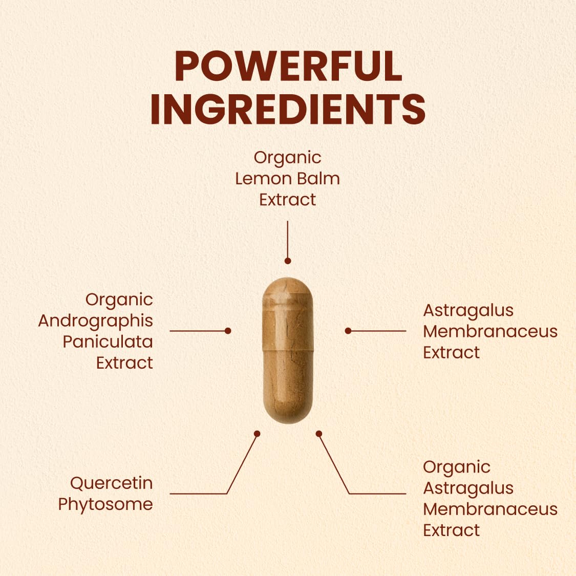 CHOQ Armor - Vegan Capsules - Professional-Grade Immune Defense - 20x Absorption Quercetin Phytosome - Andrographis - Astragalus - Supports Healthy Histamine Levels - dailyvitalstore