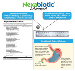 DrFormulas' Best Probiotics for Women & Men | Nexabiotic Multi Probiotic with Saccharomyces Boulardii, Lactobacillus Acidophilus, B. infantis, Prebiotic 60 Count Capsules (Not Pearls) - dailyvitalstore