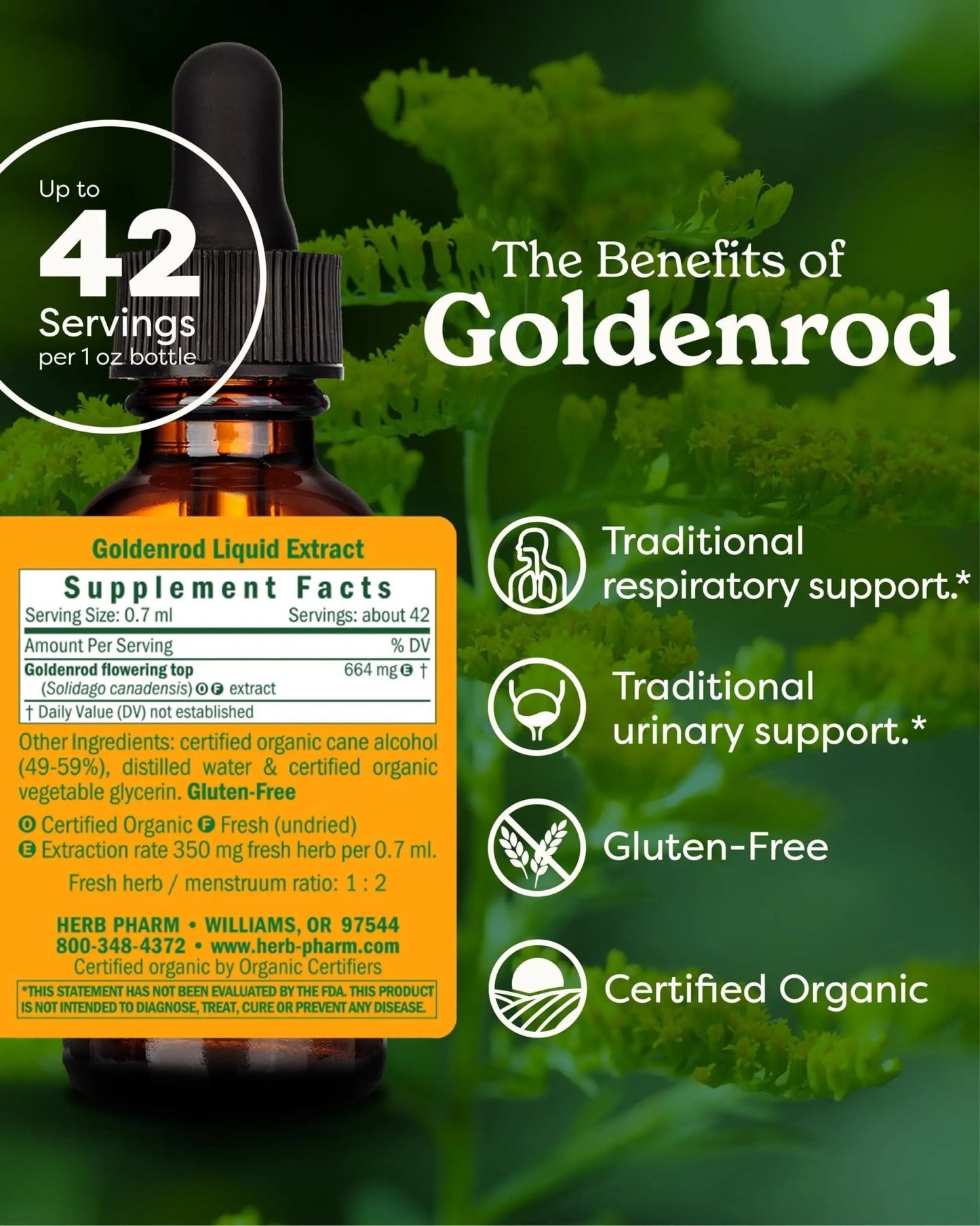 Herb Pharm Certified Organic Goldenrod Liquid Extract for Urinary System Support, 1 Fl Oz (Pack of 1) - dailyvitalstore