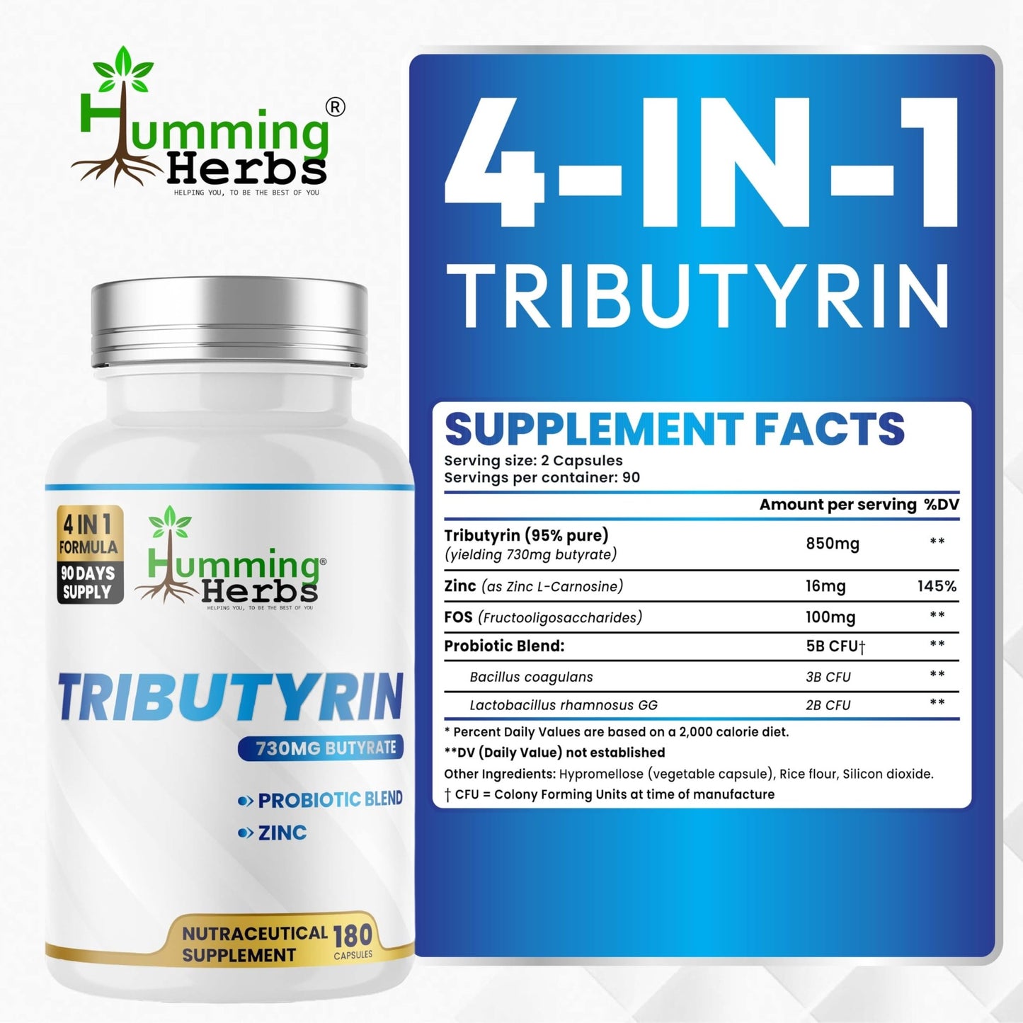 Humming Herbs Tributyrin Complex — 850 mg per Serving (95% Pure, yielding 731 mg Butyrate) with L-Glutamine, Zinc L-Carnosine, FOS & Probiotic Blend (180) - dailyvitalstore