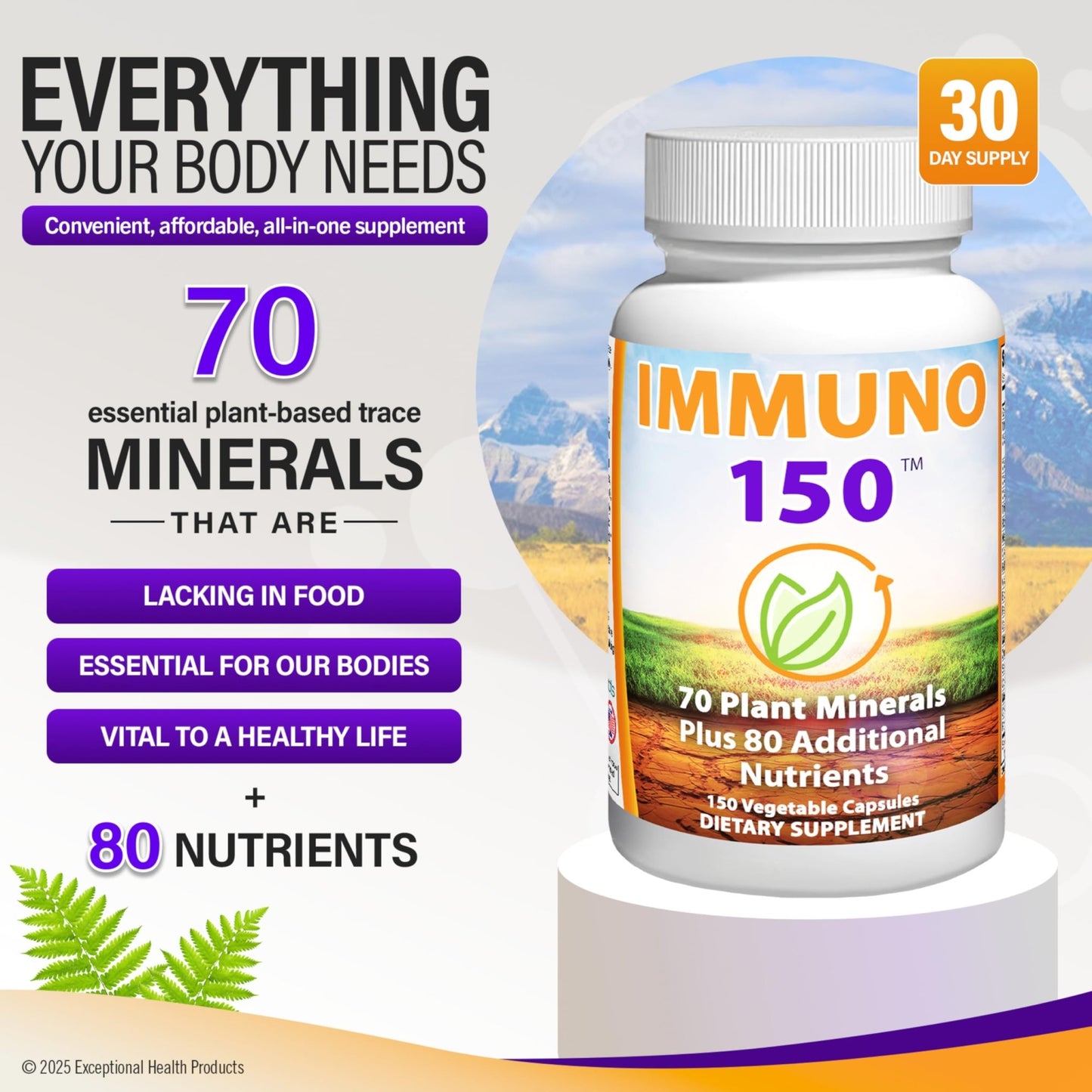 Immuno 150, Immune Support Supplement, Packed with 70 Plant Minerals, 13 Essential Vitamins and 68 Additional Nutrients-150 Vegetable Capsules- Immune Boost for All Age Groups - dailyvitalstore