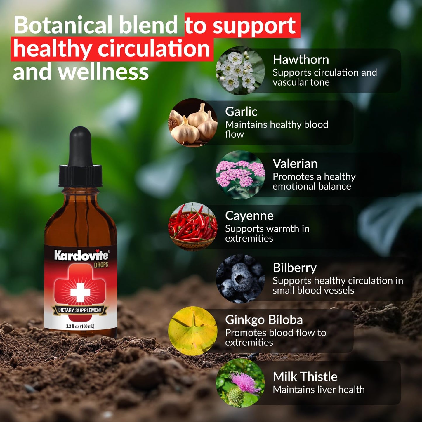 Kardovite Herbal Circulation Support Drops 100ml | Supports Circulatory Wellness with Hawthorn, Garlic, Ginkgo, Cayenne, Milk Thistle, Bilberry & Valerian | Supports Vitality & Daily Wellness - dailyvitalstore