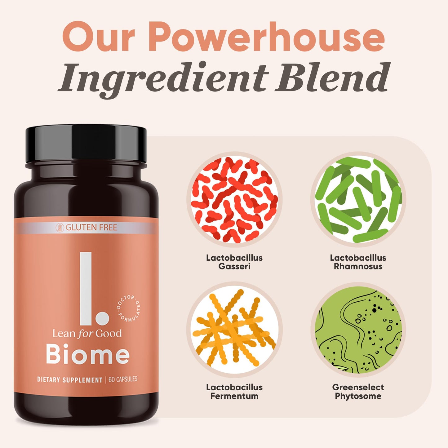 LEANFORGOOD Biome, 9-Strain Probiotic Formula, Supports a Balanced Gut Microbiome, Powerful Gut Probiotics - dailyvitalstore