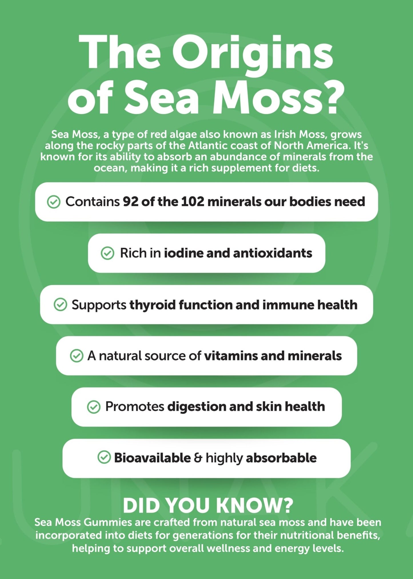 Lunakai USA Made Superfood Fruits & Veggies Supplement & Irish Sea Moss Bundle with 4 Blends, Black Seed Oil & Ashwagandha for Immune & Wellness Support - dailyvitalstore