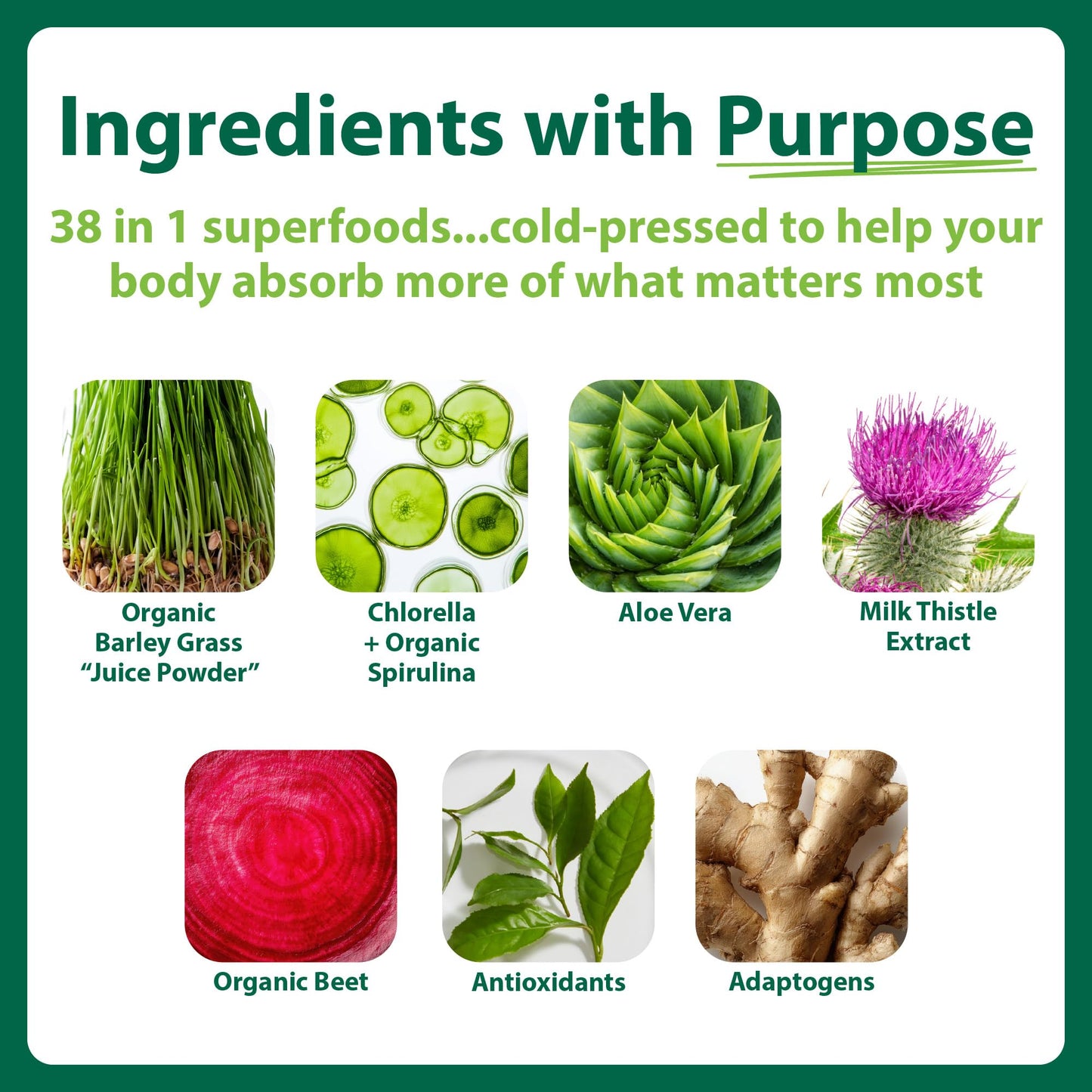 MacroLife Naturals Macro Greens Superfood Powder – 38 Superfoods with Probiotics, Digestive Enzymes & Adaptogens | Non GMO, Vegan, Gluten Free | 18B CFU | 10 oz (30 Servings) - dailyvitalstore