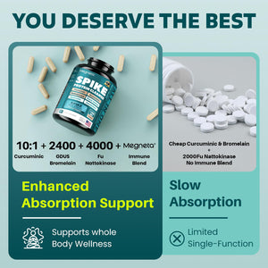 MEGNETA Spike Support - Nattokinase 20,000 FU/g, Bromelain 500mg & Curcumin 800mg – Triple-Action Enzyme Complex with Quercetin & Dandelion – Cardiovascular, Circulatory, Antioxidant & Immune Support - dailyvitalstore