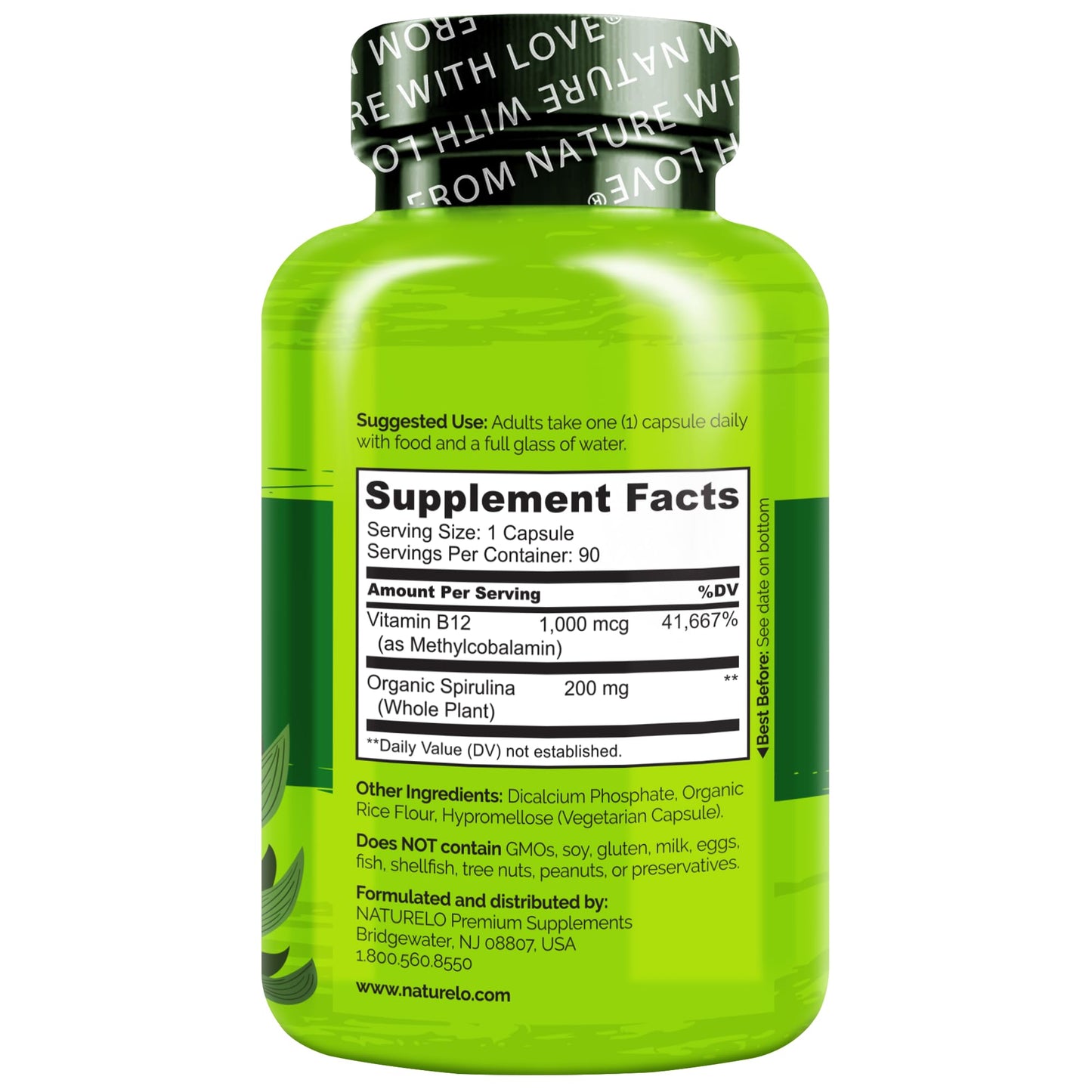 NATURELO Vegan B12 - Methyl B12 with Organic Spirulina - High Potency Vitamin B12 1000 mcg Methylcobalamin - Supports Healthy Mood - dailyvitalstore