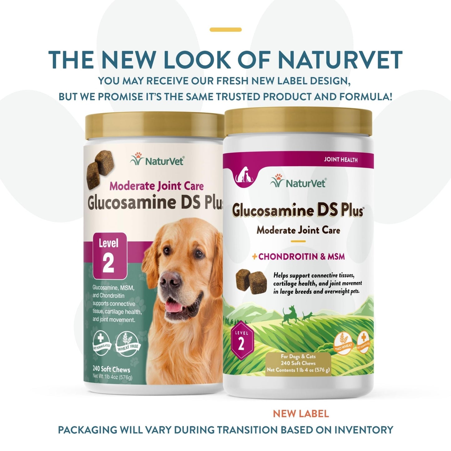 NaturVet – Glucosamine DS Plus - Level 2 Moderate Care – Supports Healthy Hip & Joint Function – Enhanced with Glucosamine, MSM & Chondroitin – for Dogs & Cats – 240 Soft Chews - dailyvitalstore