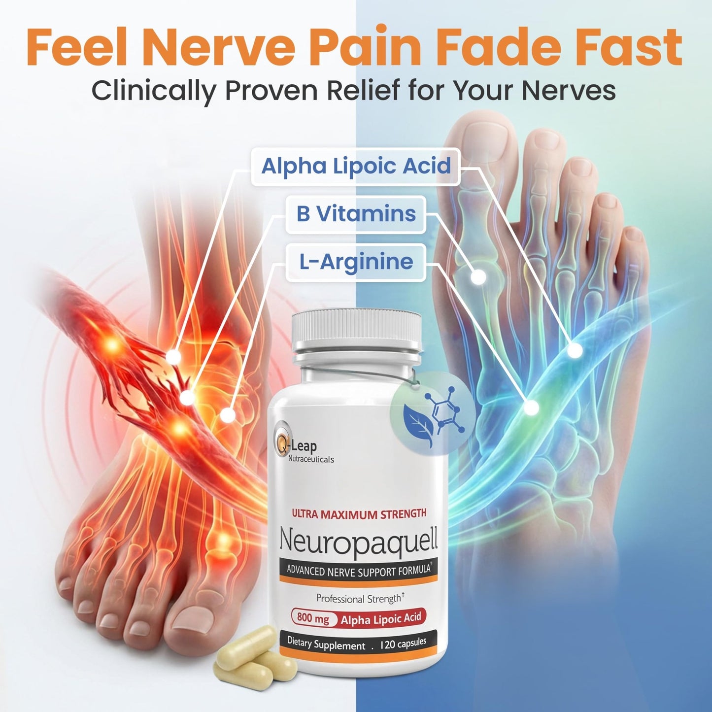 Platinum Health Alpha Lipoic Acid for Neuropathy Nerve Pain Support, Supplement, B Vitamins, L Arginine, All Natural Maximum Strength Neuropaquell for Discomfort in Feet, Hand, Toes,120 Capsules,800mg - dailyvitalstore