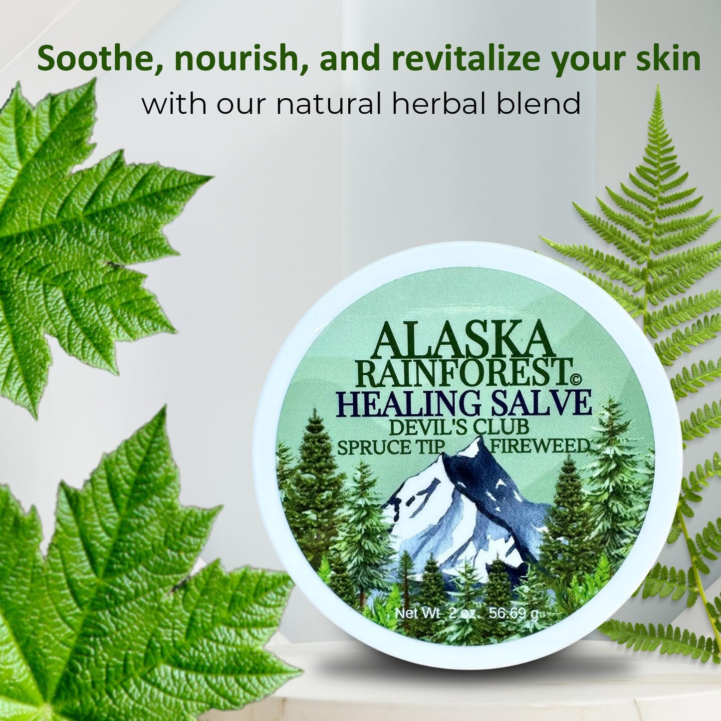 Snowy Summit Alaska Rainforest Salve - Herbal Salve for Dry Skin & Joint Relief - Natural Super Salve for Soothing Skin with Gentle Aroma - Body & Hand Salve - Muscle Rub with Alaskan Devil’s Club Oil - dailyvitalstore