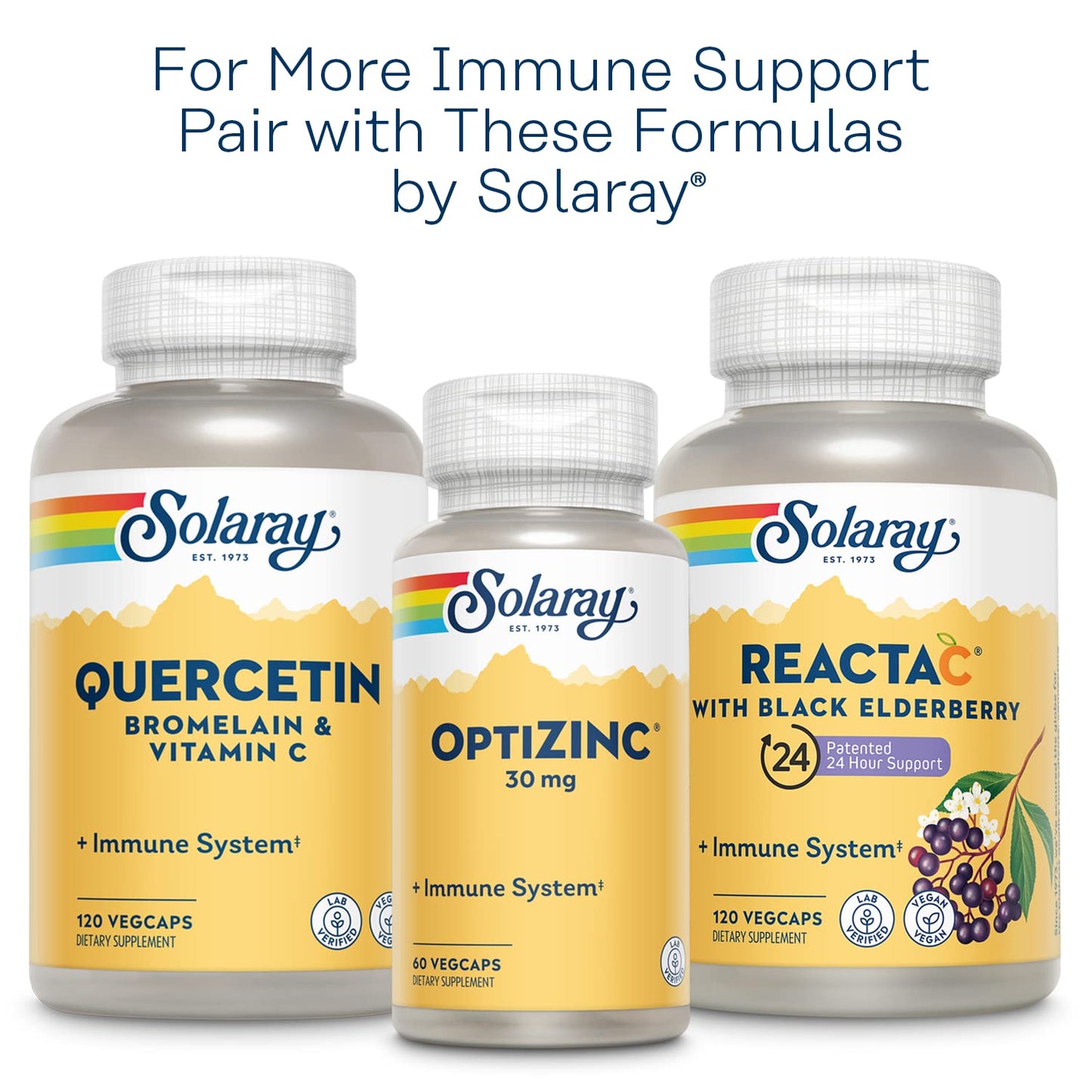SOLARAY L-Lysine Monolaurin Immune Support Supplement, 1:1 Ratio for Immune System Function, 500 mg Each, 60-Day Money Back Guarantee - dailyvitalstore