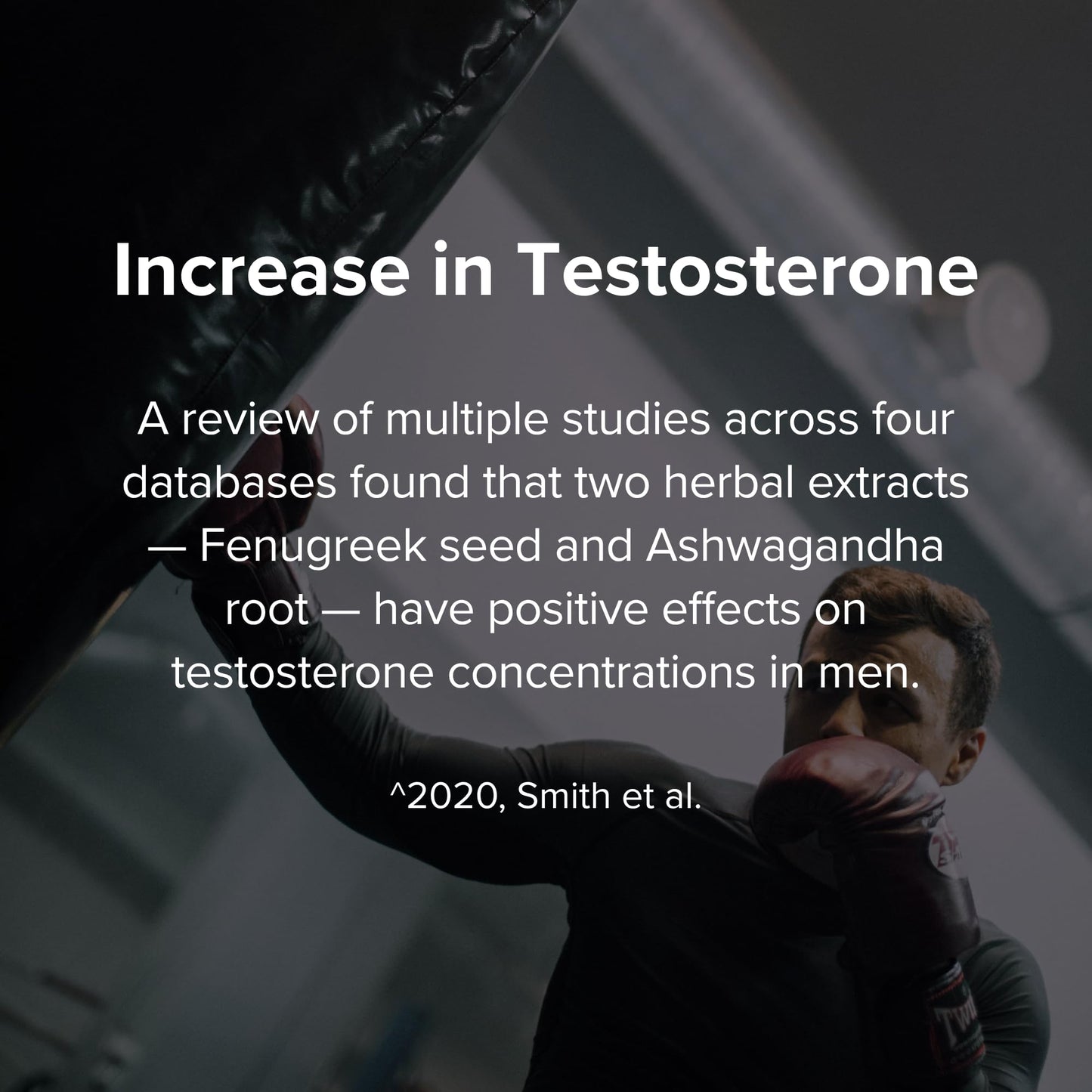 STRIVLABS Peak Potential 12-in-1 Support for Men – Fenugreek, Ashwagandha & Tongkat Ali – Natural Strength - dailyvitalstore