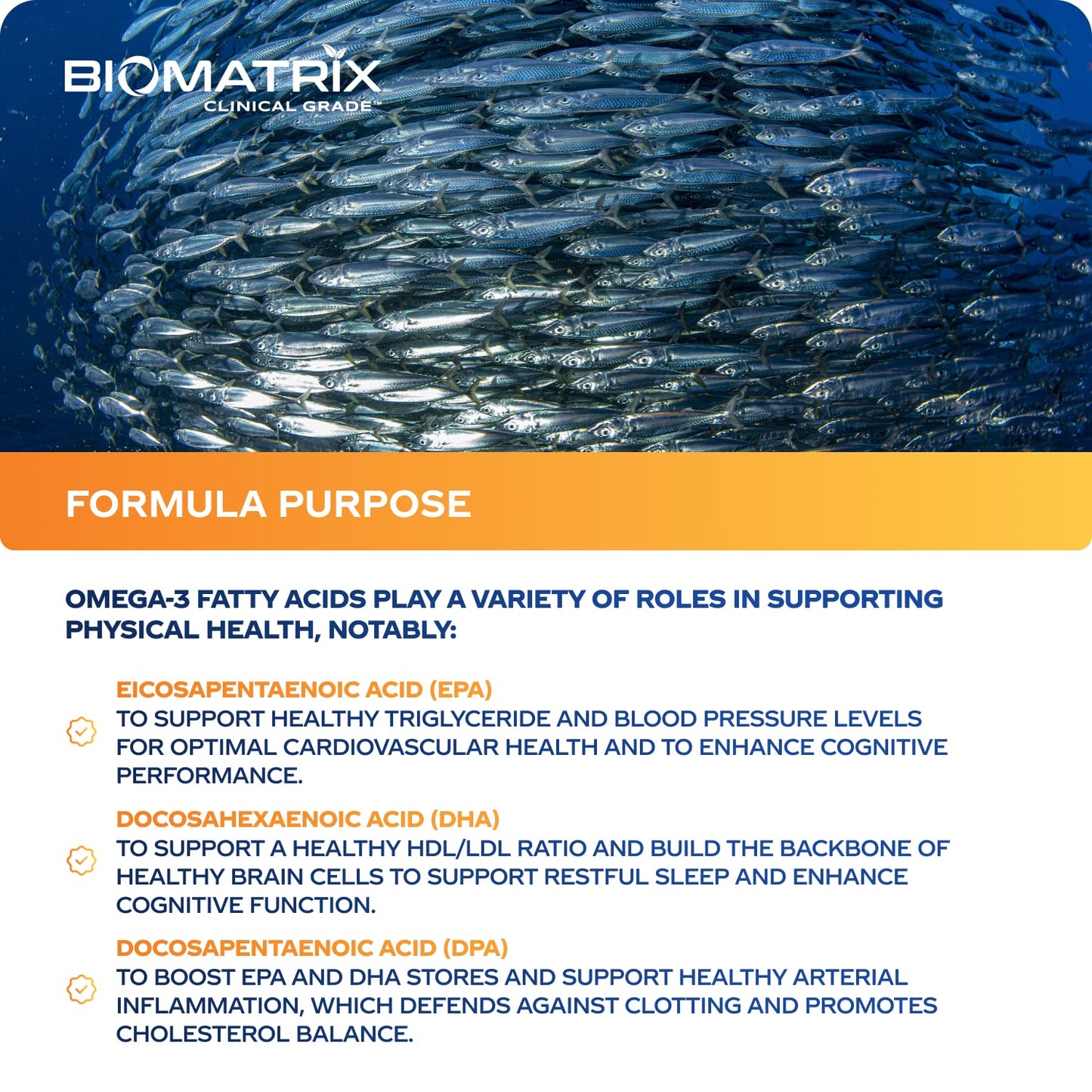 Support Omega EPA DHA Omega 3 Fish Oil Supplement - Cardiovascular, Musculoskeletal Support (120 Gel Capsules) - dailyvitalstore