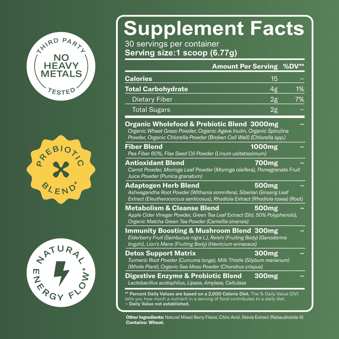 TrueSeaMoss Super Greens Powder with Matcha for Digestive & Gut Health – 25 Superfoods with Probiotics, Prebiotics, Enzymes & Sea Moss – Vegan Superfood Powder for Bloating & Regularity - 30 Servings - dailyvitalstore
