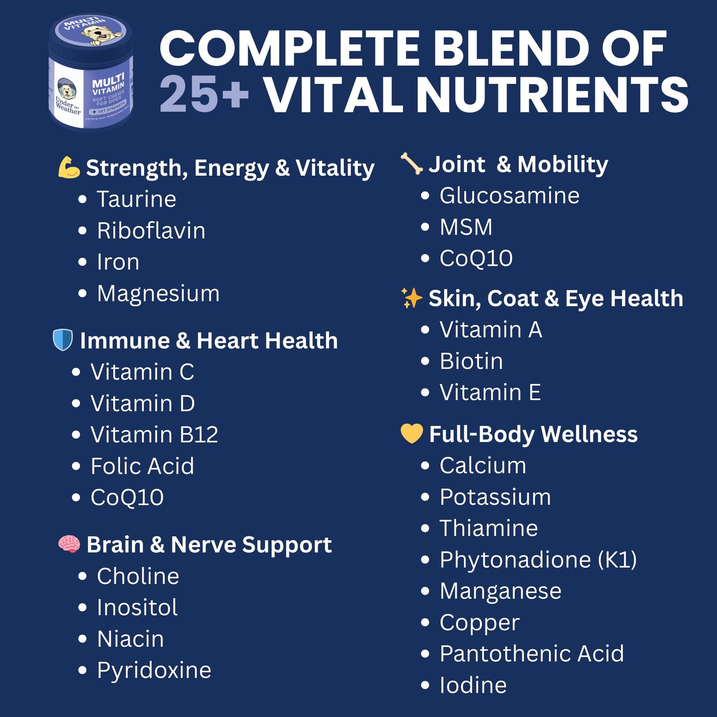 Under the Weather Multivitamin for Dogs | Vet Formulated Daily Canine Health Supplies for Immunity, Skin, Coat & Joint Support | All-in-One Multivitamin for Dogs of All Breeds & Sizes | 60 Count - dailyvitalstore
