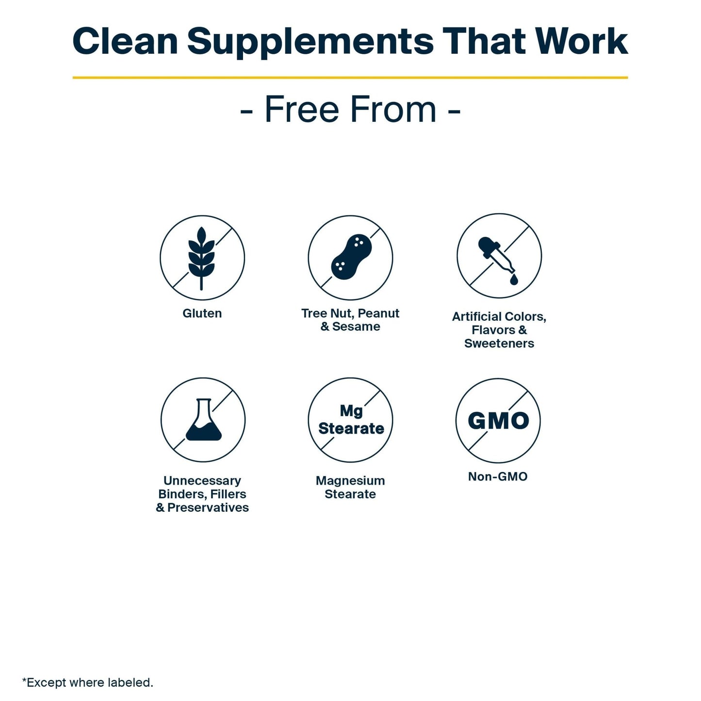 Vital Nutrients GI Repair Powder - Leaky Gut Powder with L Glutamine and Zinc - Digestive Enzyme Supplement to Support Gut Health - dailyvitalstore