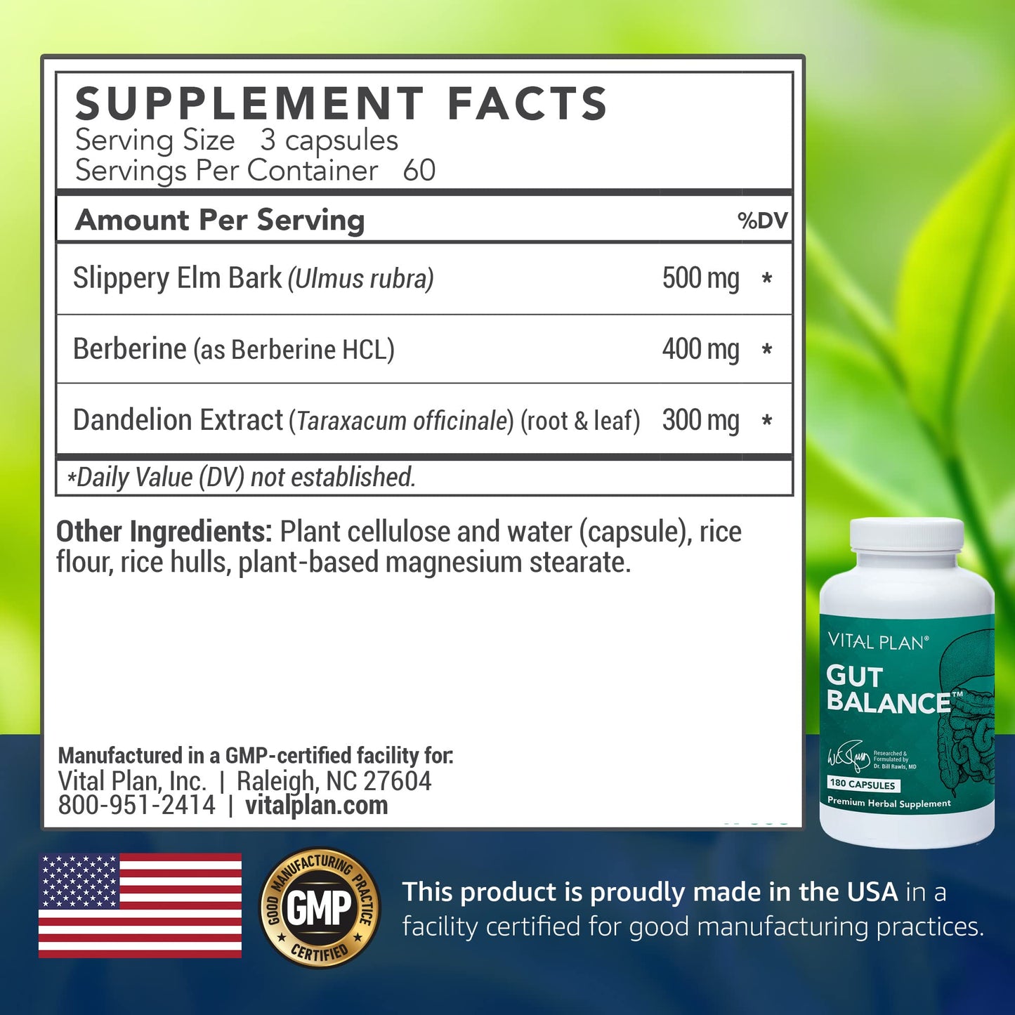 Vital Plan Gut Balance Supplement by Dr. Bill Rawls - Advanced Digestive Health Support Formula w/Clinical-Grade Slippery Elm Bark, Berberine & Dandelion Extract for Women & Men (180 Capsules) - dailyvitalstore