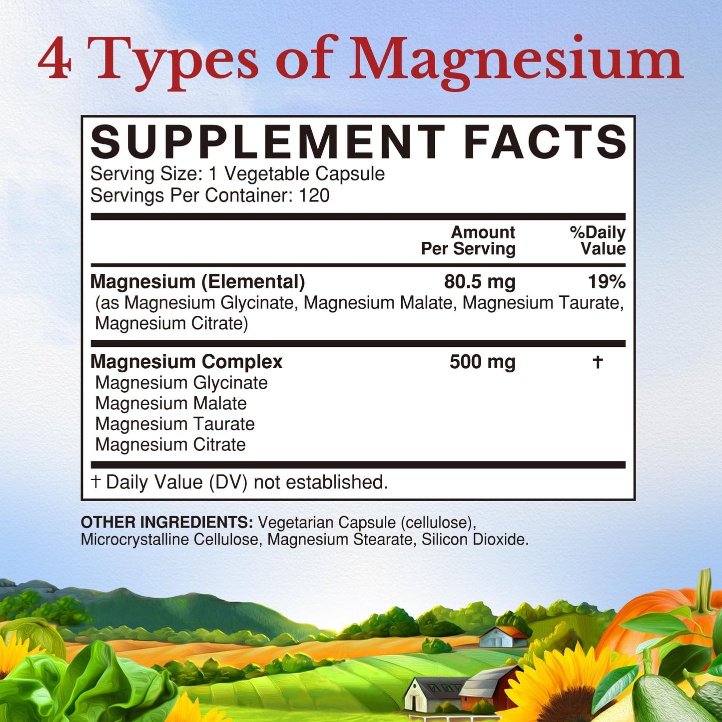 Vitalitown Magnesium Complex Supplement 500mg - NSF Certified Magnesium Glycinate, Malate, Taurate & Citrate - Chelated High Absorption & Gentle on Stomach - Vegan Non-GMO 120 Capsules - dailyvitalstore