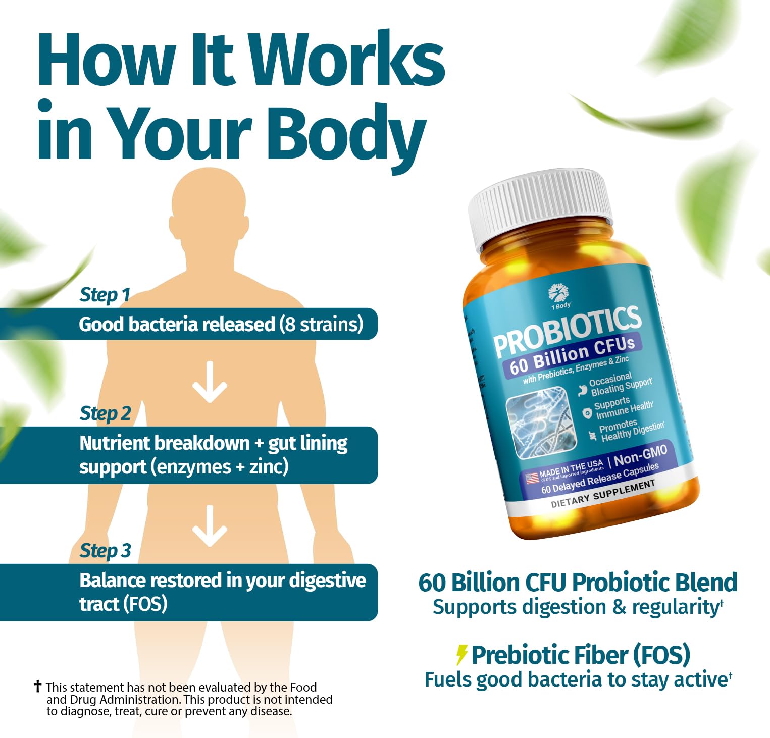 1 Body Probiotic 60 Billion for Men & Women, Gut Health Support with Prebiotics, Digestive Enzymes, Zinc & L-Glutamine, Non-GMO, 60 Vegan Capsules - dailyvitalstore