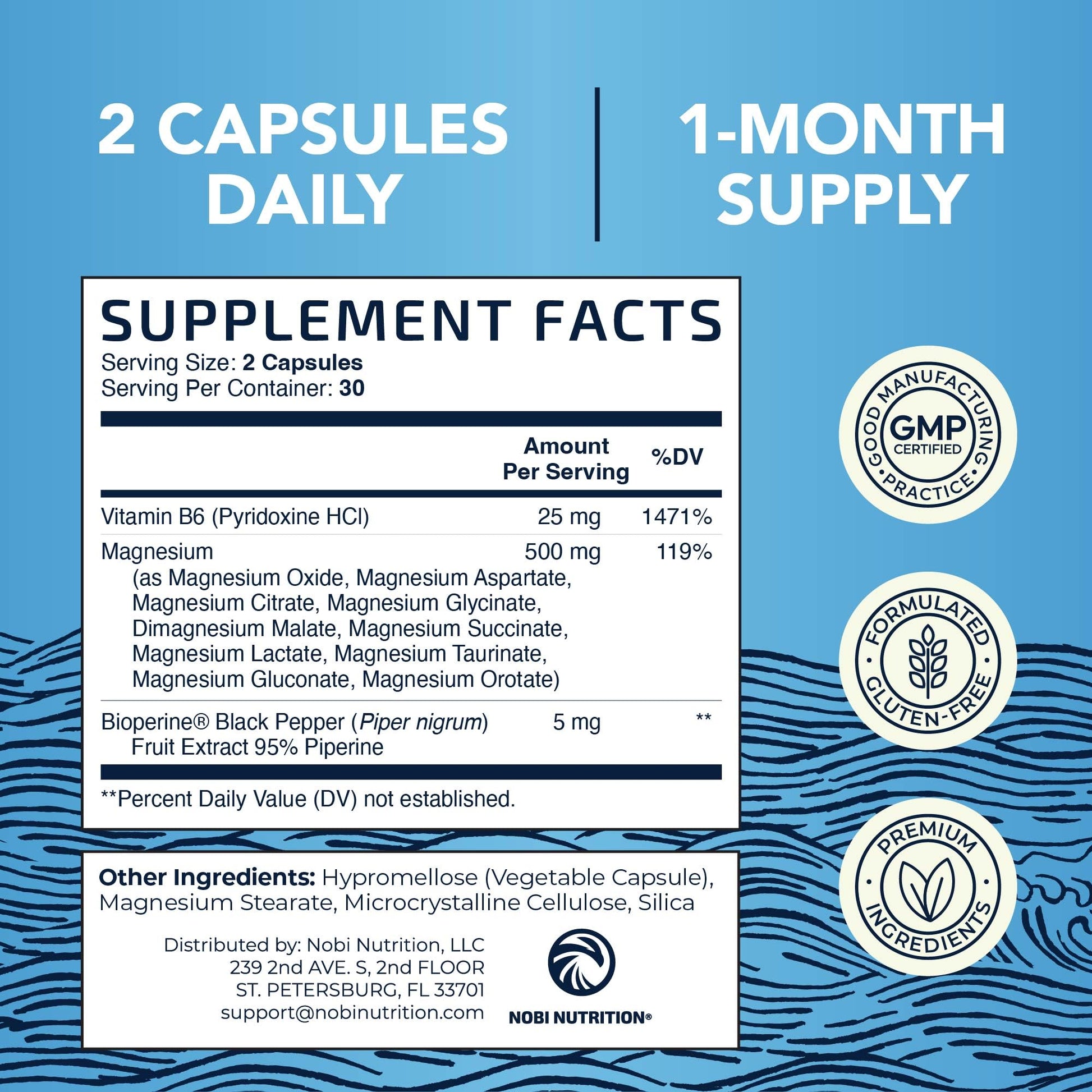 10 in 1 Magnesium Complex Supplement 500MG | Magnesium Citrate, Mag Glycinate, Malate & More | High Absorption Mag Complex with Vitamin B6 | Bone, Muscle & Heart Health Support | Non-GMO | 60 Ct. - dailyvitalstore