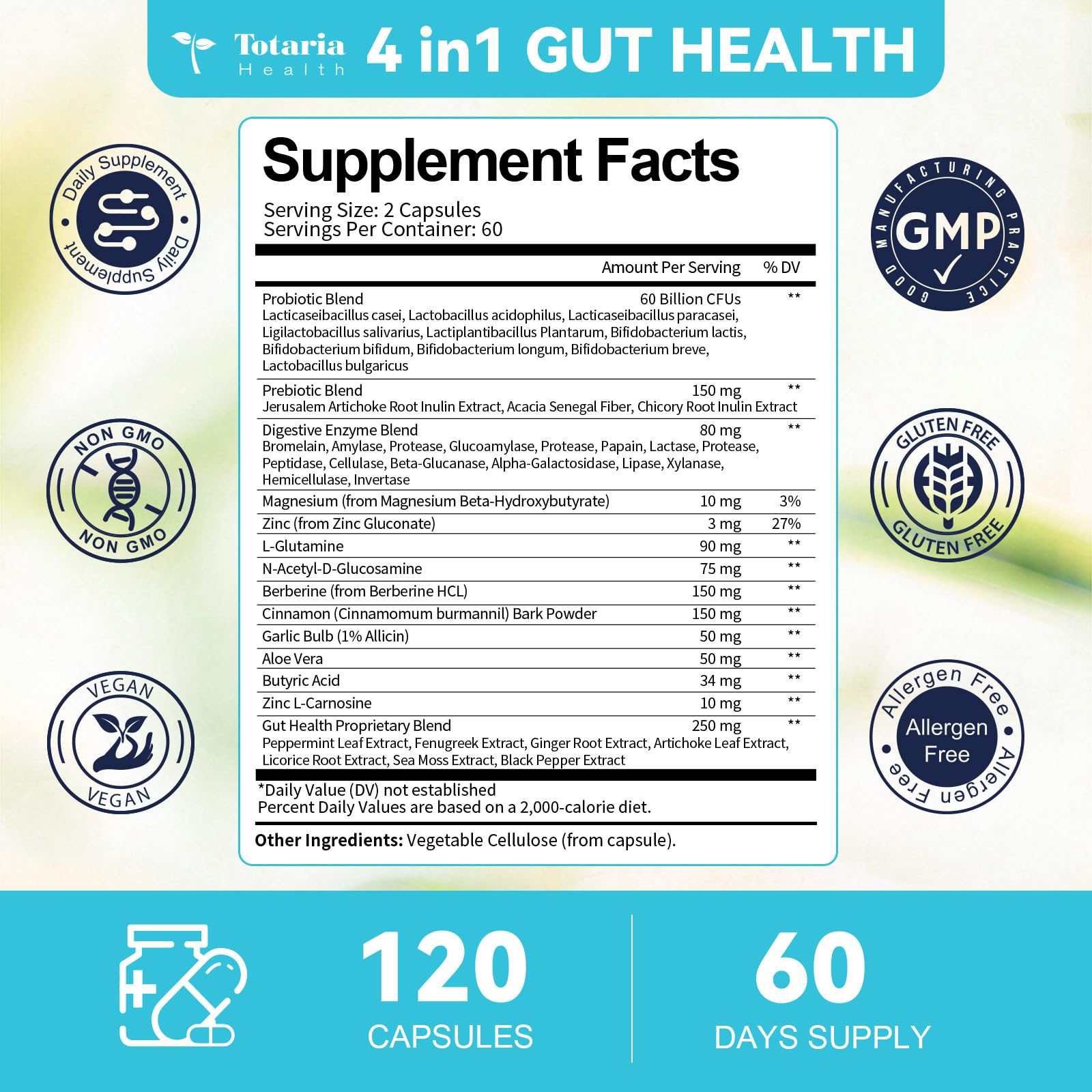 14-in-1 Gut Health with Probiotics, Prebiotics, Postbiotics & Digestive Enzymes for Women & Men, 60 Billion CFU Probiotics for Digestion, Strong Immunity, - dailyvitalstore