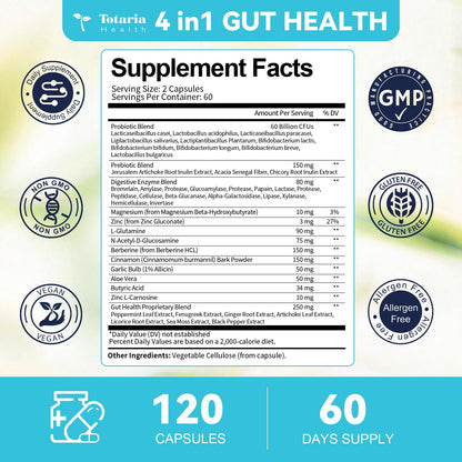 14-in-1 Gut Health with Probiotics, Prebiotics, Postbiotics & Digestive Enzymes for Women & Men, 60 Billion CFU Probiotics for Digestion, Strong Immunity, - dailyvitalstore
