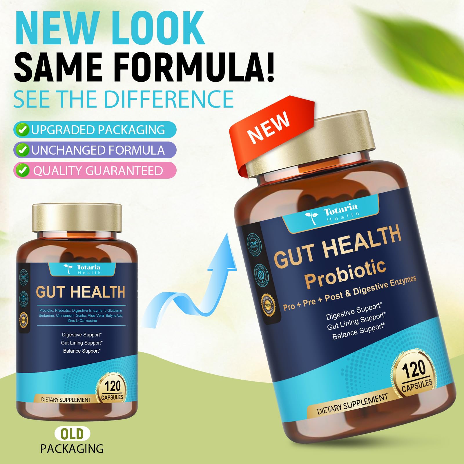 14-in-1 Gut Health with Probiotics, Prebiotics, Postbiotics & Digestive Enzymes for Women & Men, 60 Billion CFU Probiotics for Digestion, Strong Immunity, - dailyvitalstore