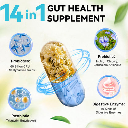 14-in-1 Gut Health with Probiotics, Prebiotics, Postbiotics & Digestive Enzymes for Women & Men, 60 Billion CFU Probiotics for Digestion, Strong Immunity, - dailyvitalstore