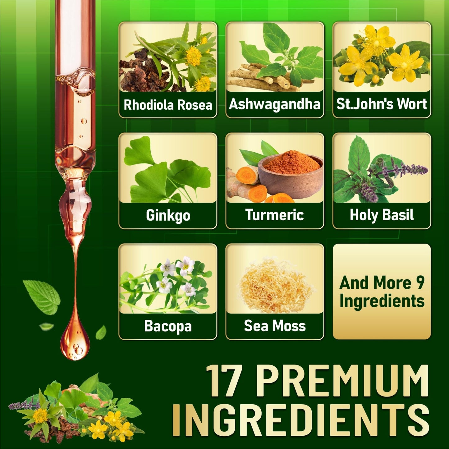 17in1 Rhodiola Rosea Liquid Supplement with Ashwagandha, Magnesium Glycine, L-Theanine, Vitamin C, Vitamin D3, Vitamin K2, Ginkgo, Turmeric, Holy Basil and More - 1 FL Oz - 60 Day Supply - dailyvitalstore