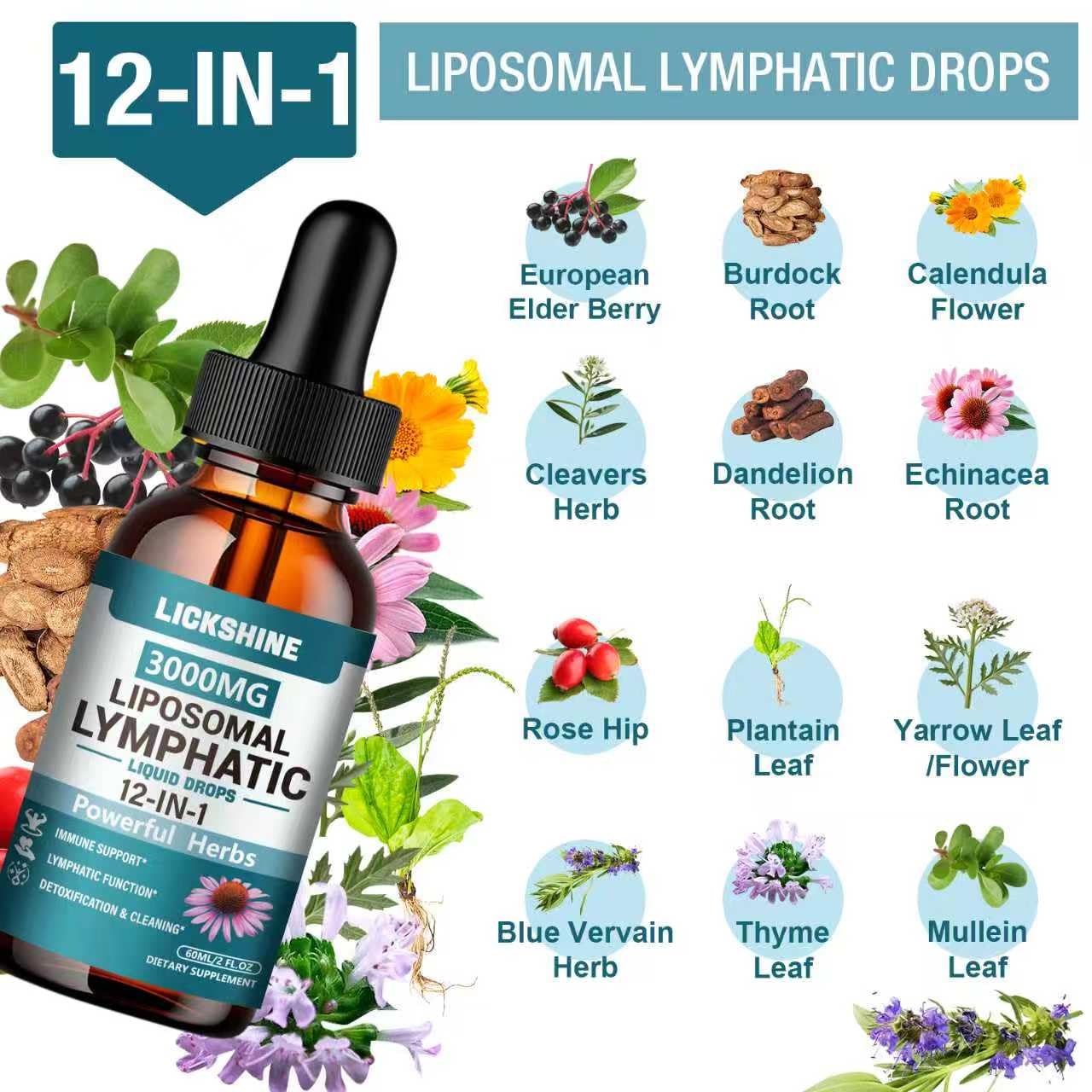 2 Packs 3000MG Liposomal Lymphatic Drainage Drops, 12 in 1 Organic Lymphatic Drainage Supplements with ElderBerry, Burdock Root, Cleavers Herb & Echinacea, Lymphatic Cleanse Immune Support, 4 Fl oz - dailyvitalstore