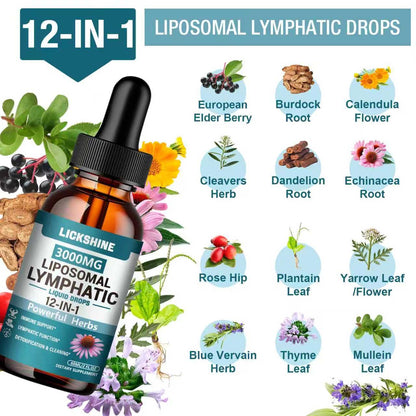 2 Packs 3000MG Liposomal Lymphatic Drainage Drops, 12 in 1 Organic Lymphatic Drainage Supplements with ElderBerry, Burdock Root, Cleavers Herb & Echinacea, Lymphatic Cleanse Immune Support, 4 Fl oz - dailyvitalstore