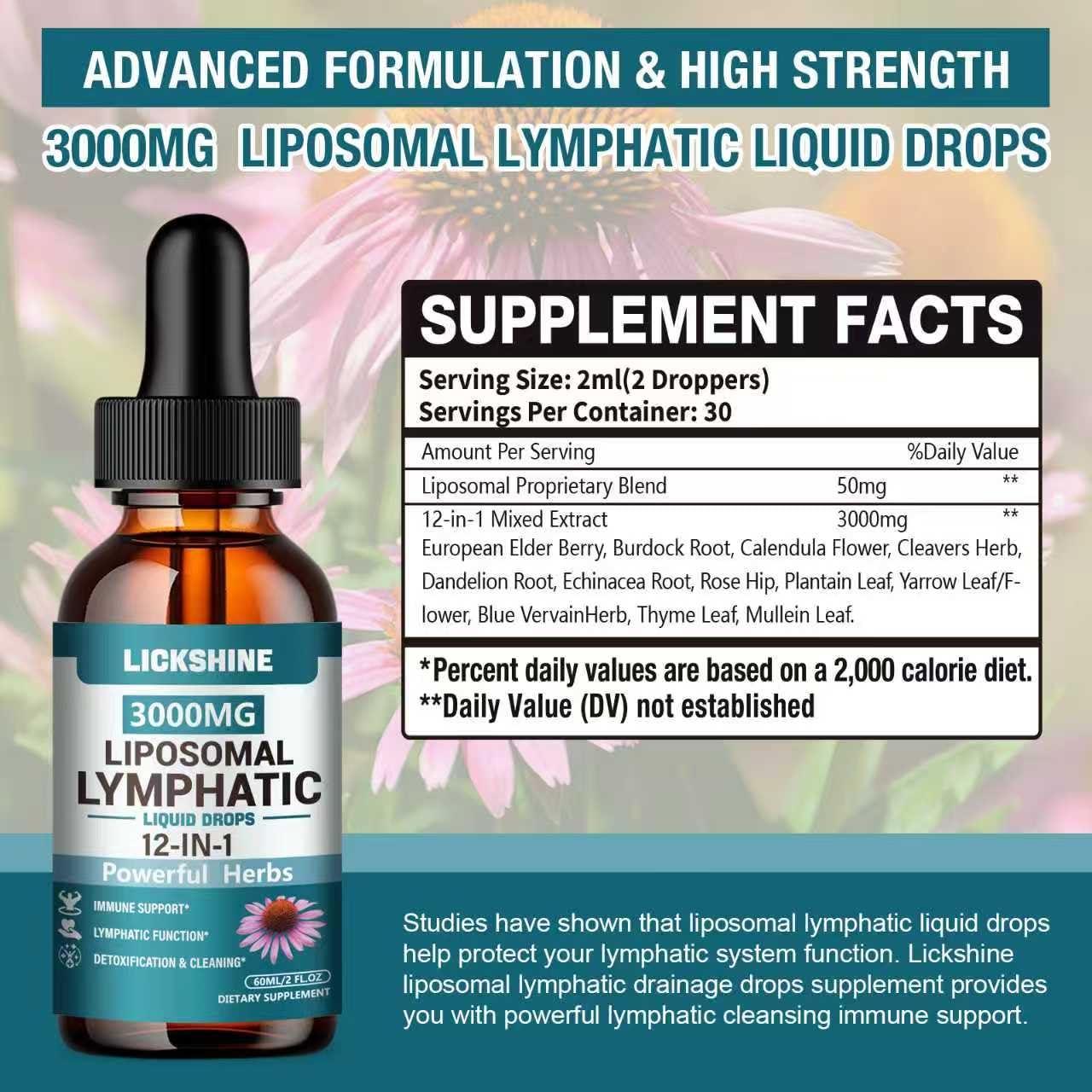 2 Packs 3000MG Liposomal Lymphatic Drainage Drops, 12 in 1 Organic Lymphatic Drainage Supplements with ElderBerry, Burdock Root, Cleavers Herb & Echinacea, Lymphatic Cleanse Immune Support, 4 Fl oz - dailyvitalstore