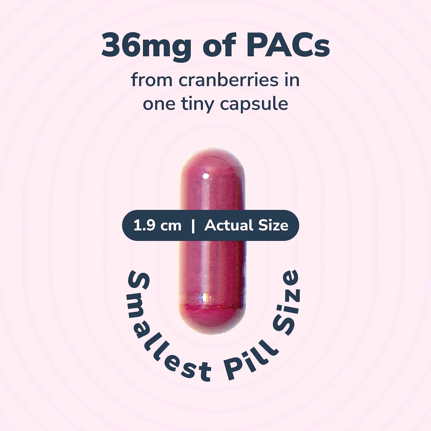 20% Bundle Utiva Cranberry PACs 30 Vegi Capsules Cranberry Supplement for Urinary Tract Health for Women and Men + Utiva D-Mannose 500mg 120 Capsules Naturally Flush The Bladder and Urinary Tract - dailyvitalstore