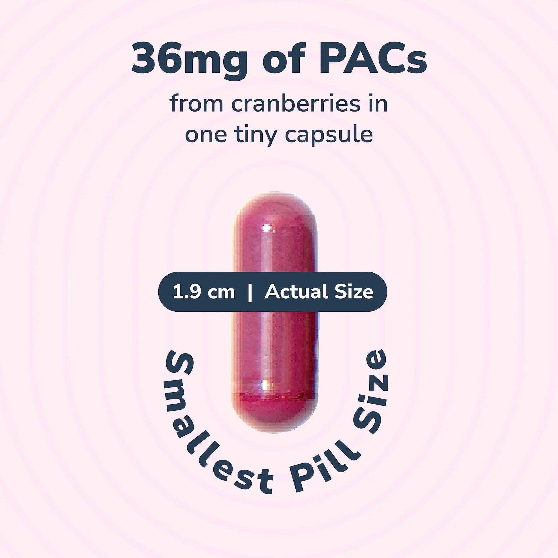 20% Bundle Utiva Cranberry PACs 30 Vegi Capsules Cranberry Supplement for Urinary Tract Health for Women and Men + Utiva D-Mannose 500mg 120 Capsules Naturally Flush The Bladder and Urinary Tract - dailyvitalstore