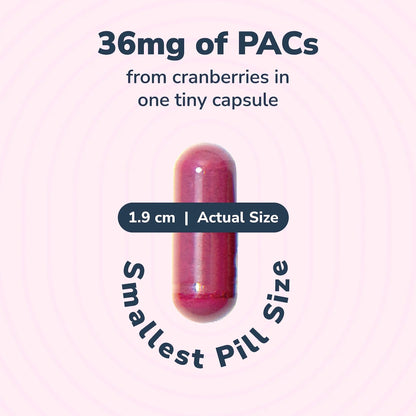 20% Bundle Utiva Cranberry PACs 30 Vegi Capsules Cranberry Supplement for Urinary Tract Health for Women and Men + Utiva D-Mannose 500mg 120 Capsules Naturally Flush The Bladder and Urinary Tract - dailyvitalstore