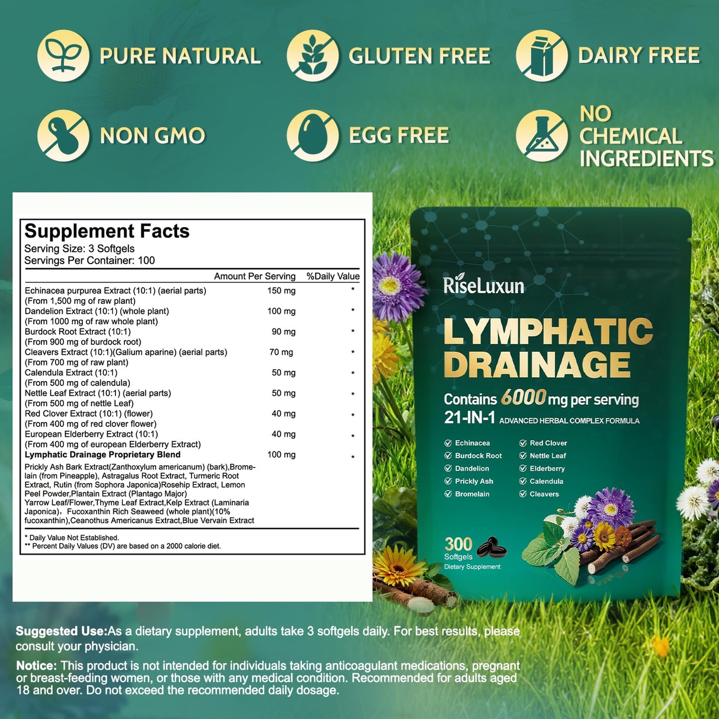 21-in-1 Liposomal Lymphatic Drainage Supplements, 100 Day Supply, 6000mg Lymph System Support for Women & Men with Echinacea, Dandelion, Burdock, Bromelain, Calendula, Turmeric & More, 300 Softgels - dailyvitalstore