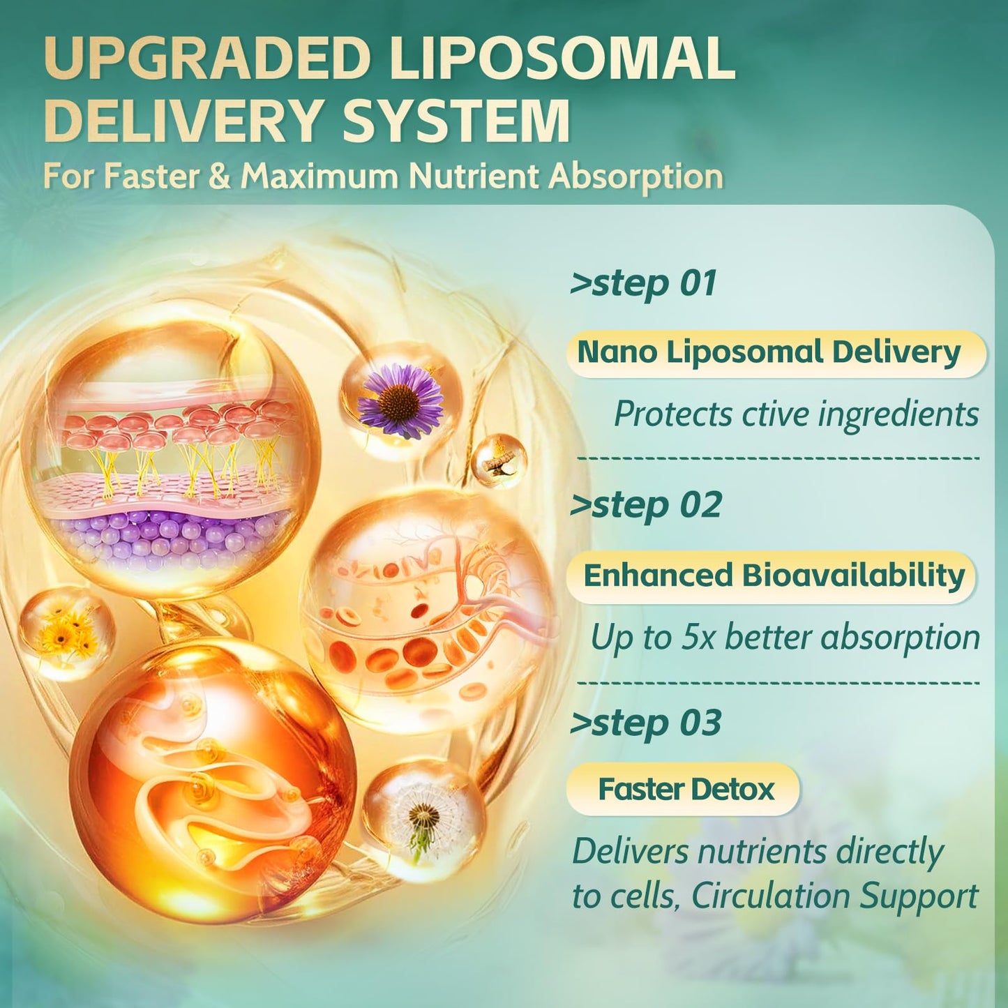 21-in-1 Liposomal Lymphatic Drainage Supplements, 100 Day Supply, 6000mg Lymph System Support for Women & Men with Echinacea, Dandelion, Burdock, Bromelain, Calendula, Turmeric & More, 300 Softgels - dailyvitalstore