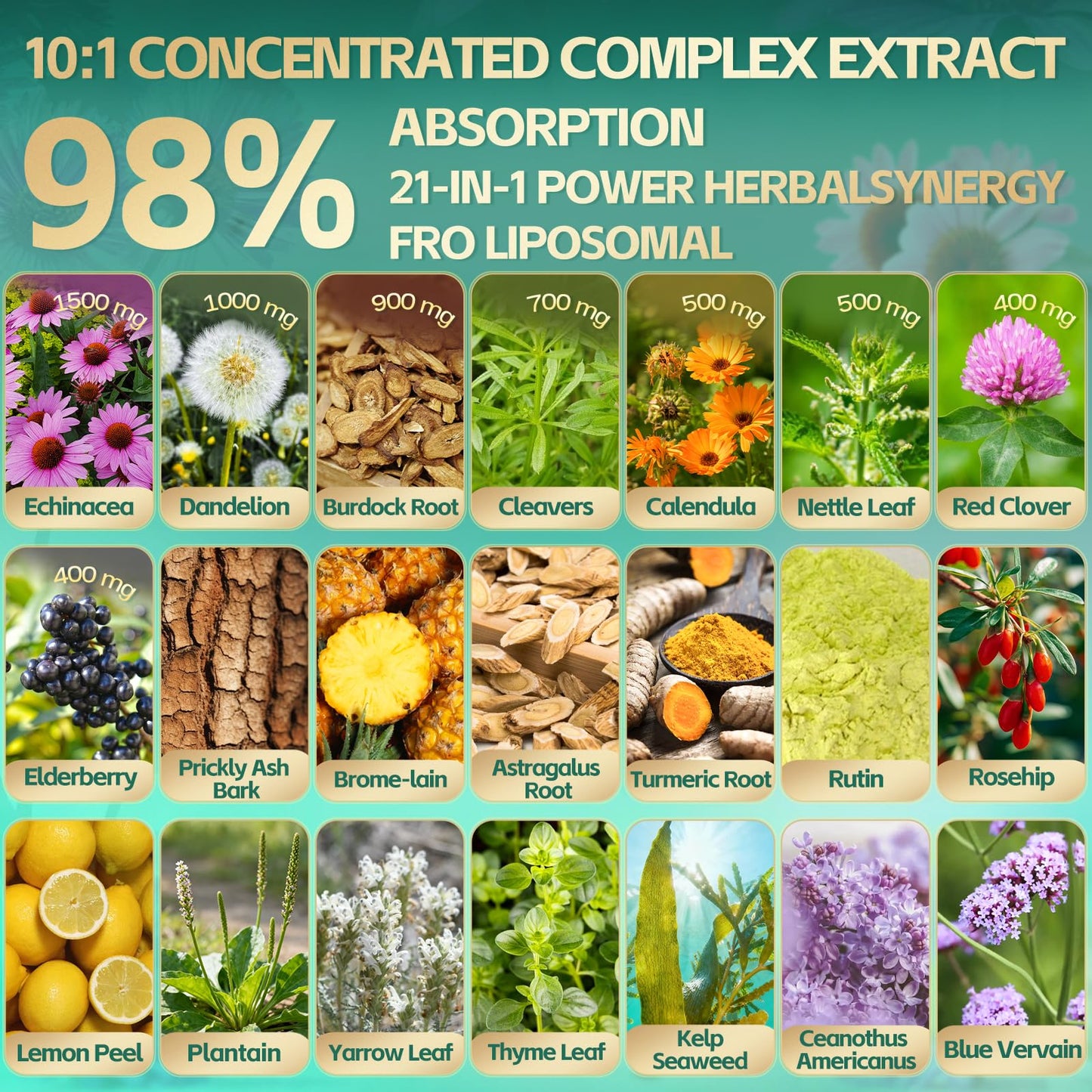 21-in-1 Liposomal Lymphatic Drainage Supplements, 100 Day Supply, 6000mg Lymph System Support for Women & Men with Echinacea, Dandelion, Burdock, Bromelain, Calendula, Turmeric & More, 300 Softgels - dailyvitalstore