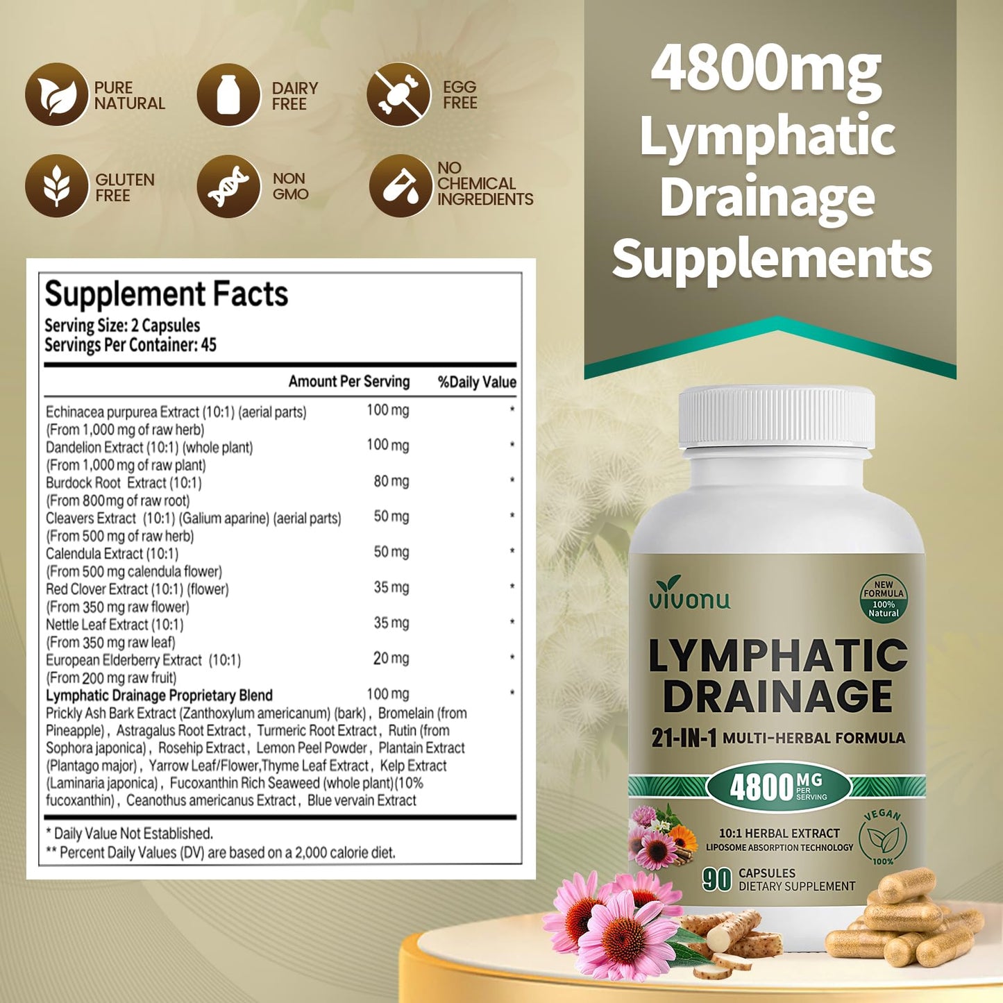 21-in-1 Liposome Lymphatic Drainage Supplements, 45 Day Supply, 4800mg Immune & Lymph System Support, 10:1 Concentrated Technology, Echinacea, Dandelion, Burdock, Bromelain, Calendula, 90 Capsules - dailyvitalstore