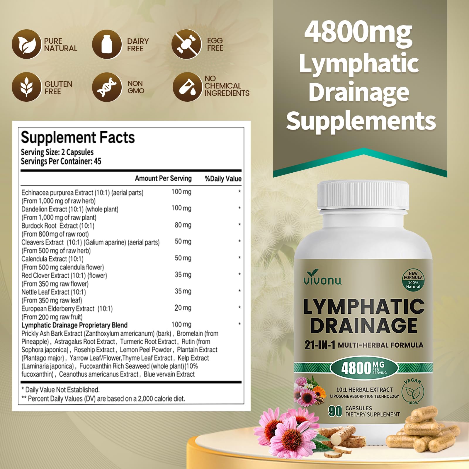 21-in-1 Liposome Lymphatic Drainage Supplements, 45 Day Supply, 4800mg Immune & Lymph System Support, 10:1 Concentrated Technology, Echinacea, Dandelion, Burdock, Bromelain, Calendula, 90 Capsules - dailyvitalstore