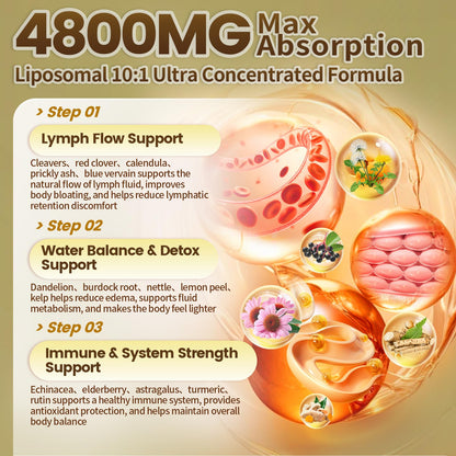 21-in-1 Liposome Lymphatic Drainage Supplements, 45 Day Supply, 4800mg Immune & Lymph System Support, 10:1 Concentrated Technology, Echinacea, Dandelion, Burdock, Bromelain, Calendula, 90 Capsules - dailyvitalstore
