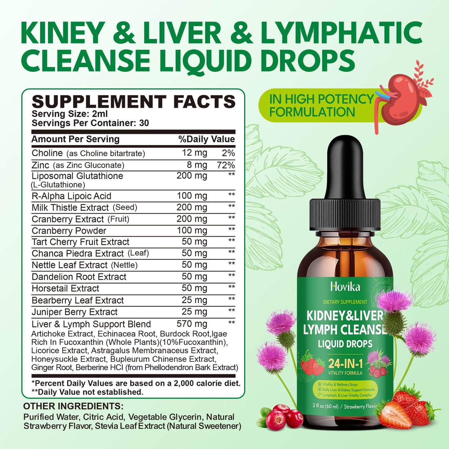 24-in-1 Kidney & Liver, Lymph Cleanse Detox & Repair Drops, Three Immune Formula with Cranberry, Milk Thistle, Vegan Urinary Tract & Lymphatic Drainage - dailyvitalstore