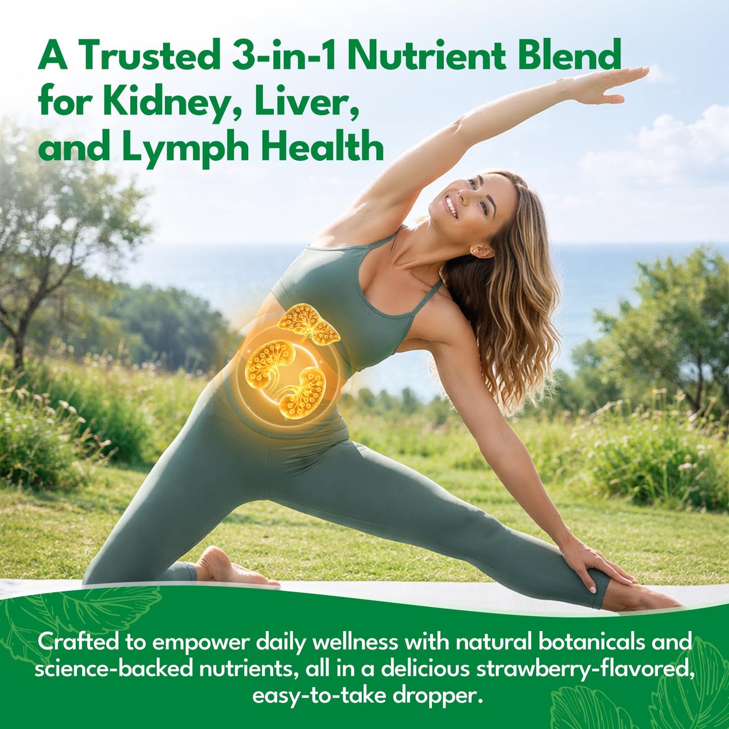 24-in-1 Kidney & Liver, Lymph Cleanse Detox & Repair Drops, Three Immune Formula with Cranberry, Milk Thistle, Vegan Urinary Tract & Lymphatic Drainage - dailyvitalstore
