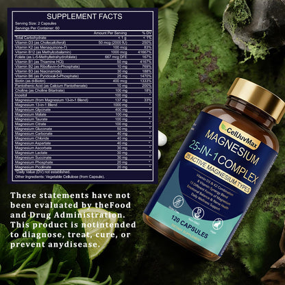 25-in-1 Magnesium Complex | Multi-Form Absorbable Blend for Daily Nutritional Support, 120 Vegan Caps (1) - dailyvitalstore