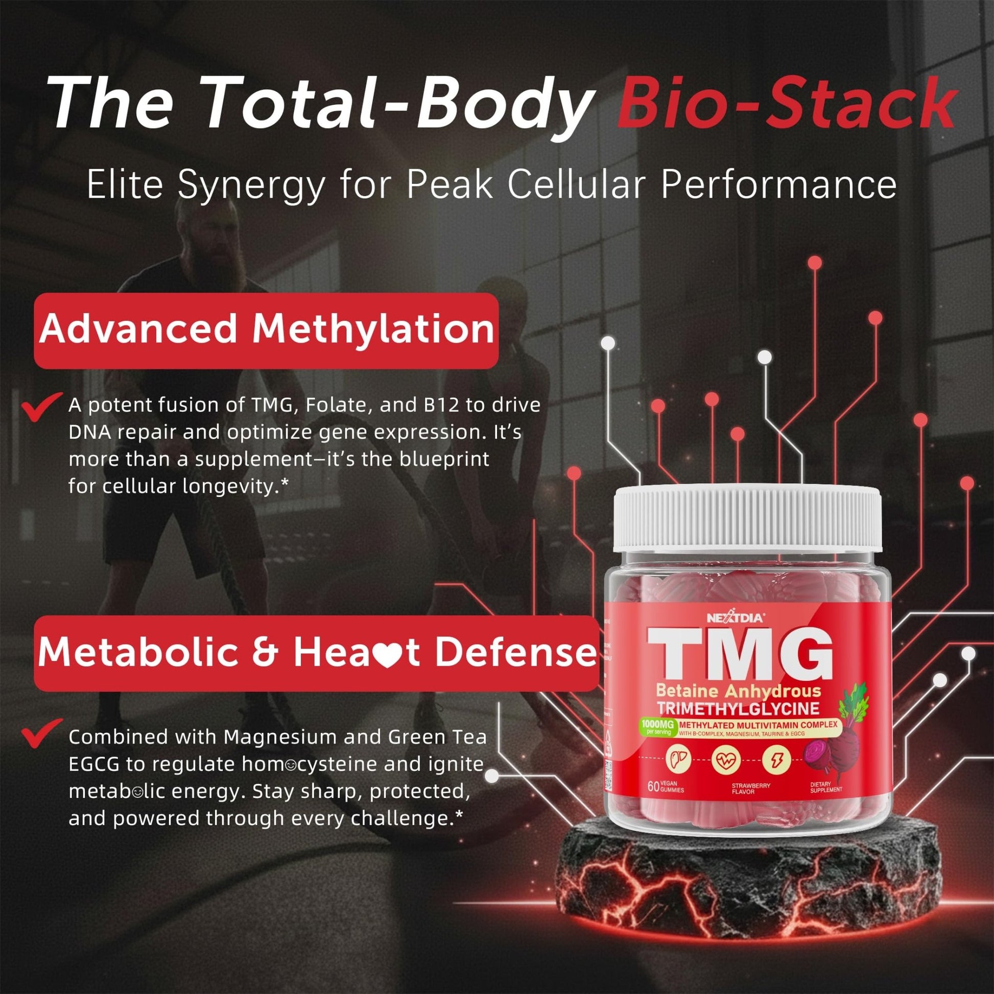 2Pack TMG Gummies 1000mg Betaine Anhydrous + Methylated Multivitamin & B Complex Methylated(Methylfolate B12 B6), Magnesium, Taurine - Essential Trimethylglycine for Homocysteine Levels, Brain, Energy - dailyvitalstore